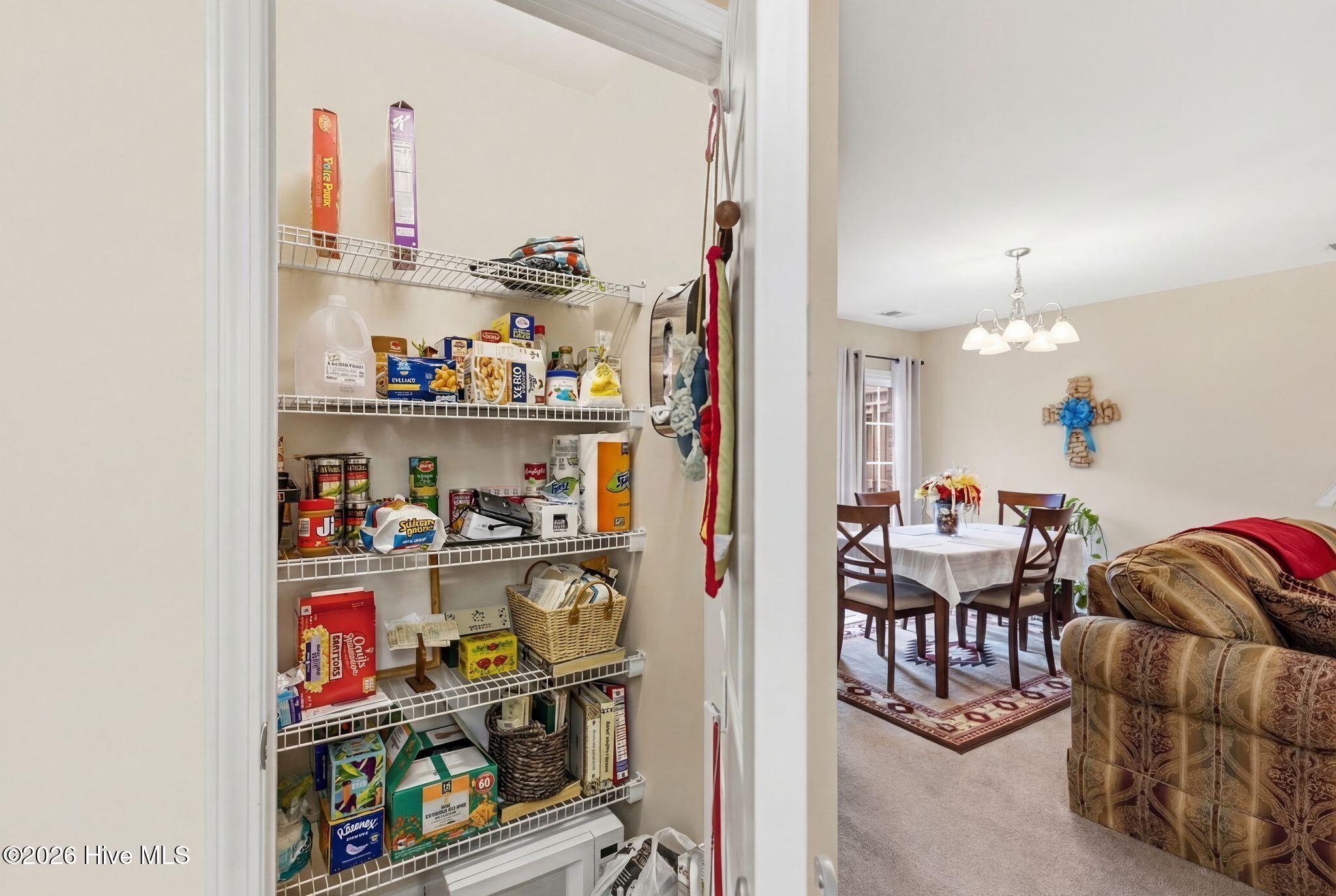 100557831 | Photo 18