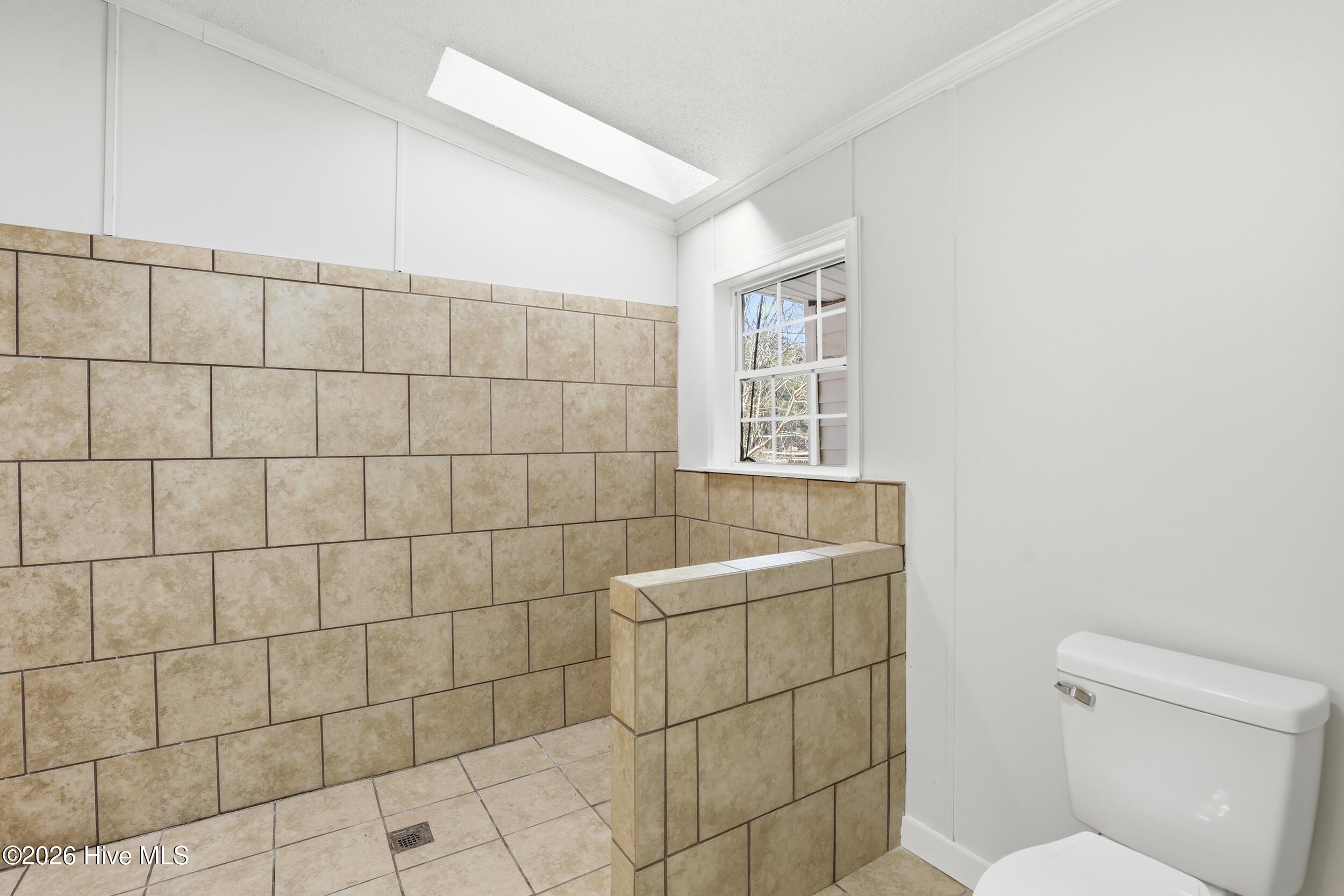 100556681 | Photo 20