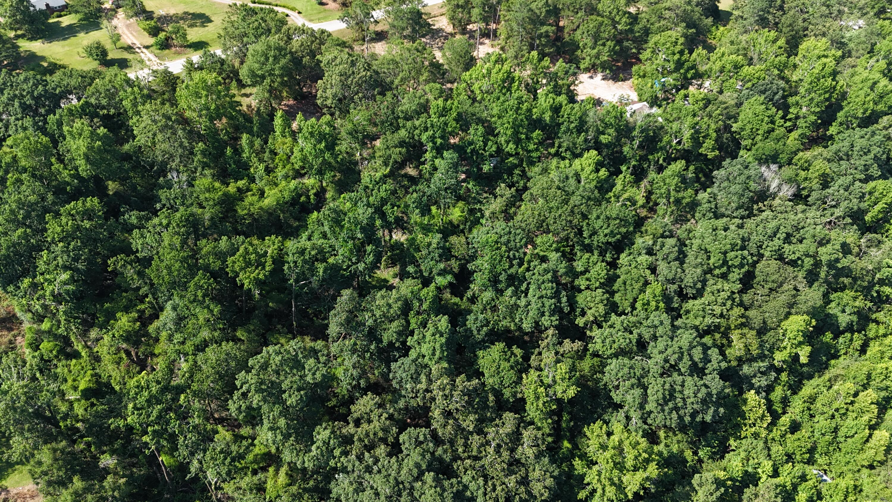 2039 Mcdade Farm Road, Hephzibah, GA, 30815