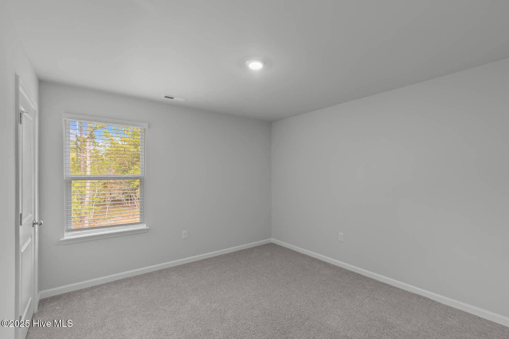 100538929 | Photo 44