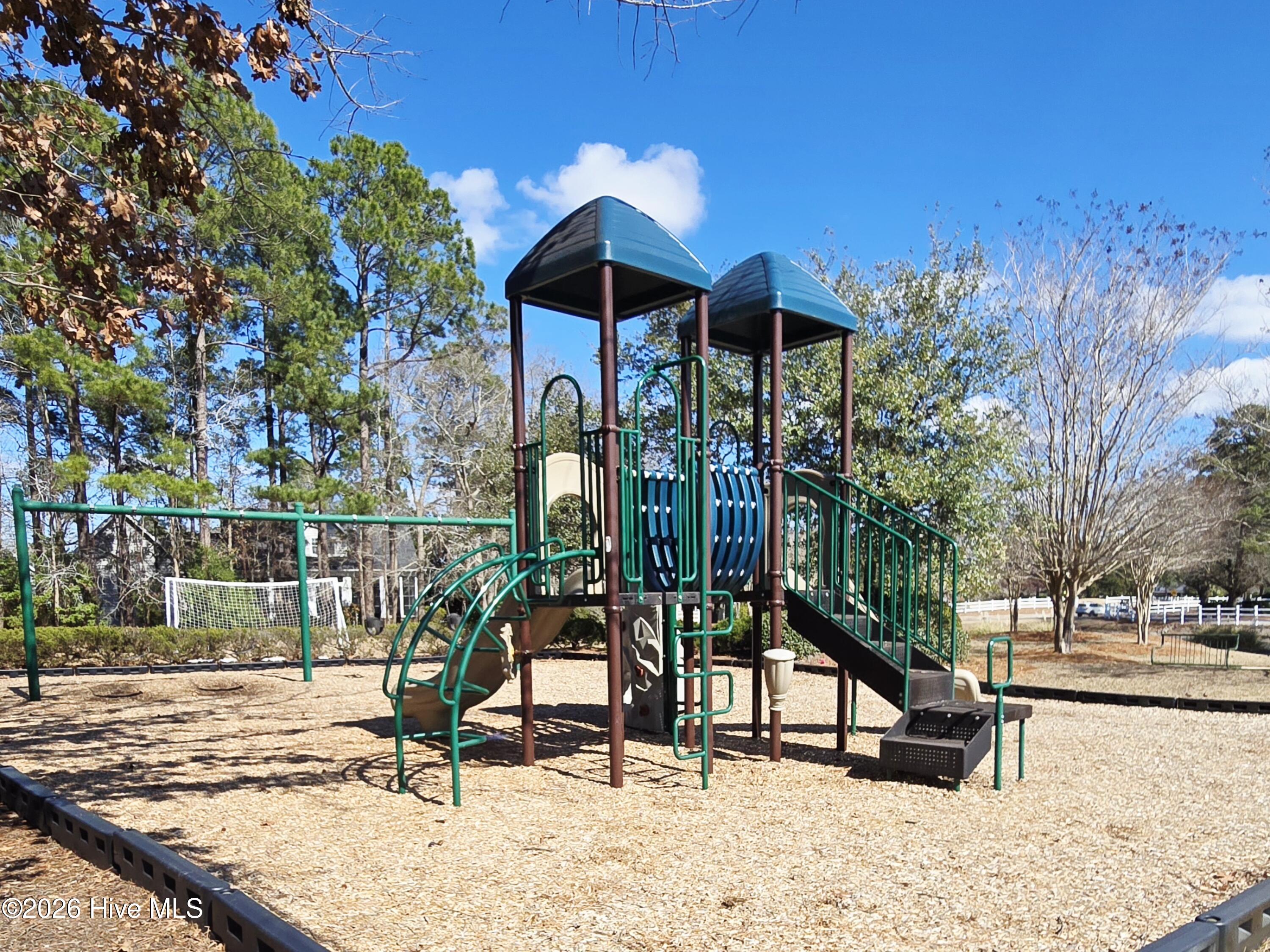 100526978 | Photo 31