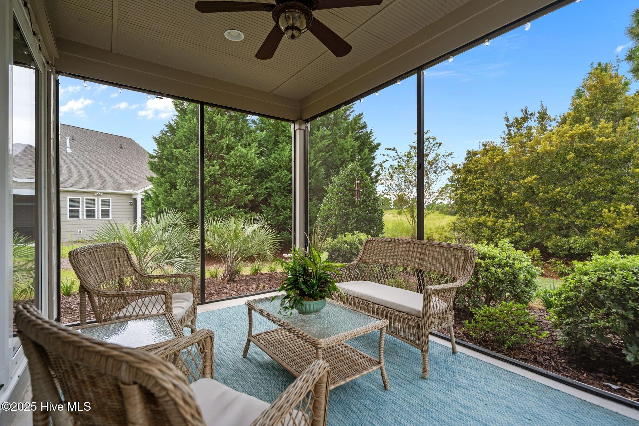 100528063 | Photo 38