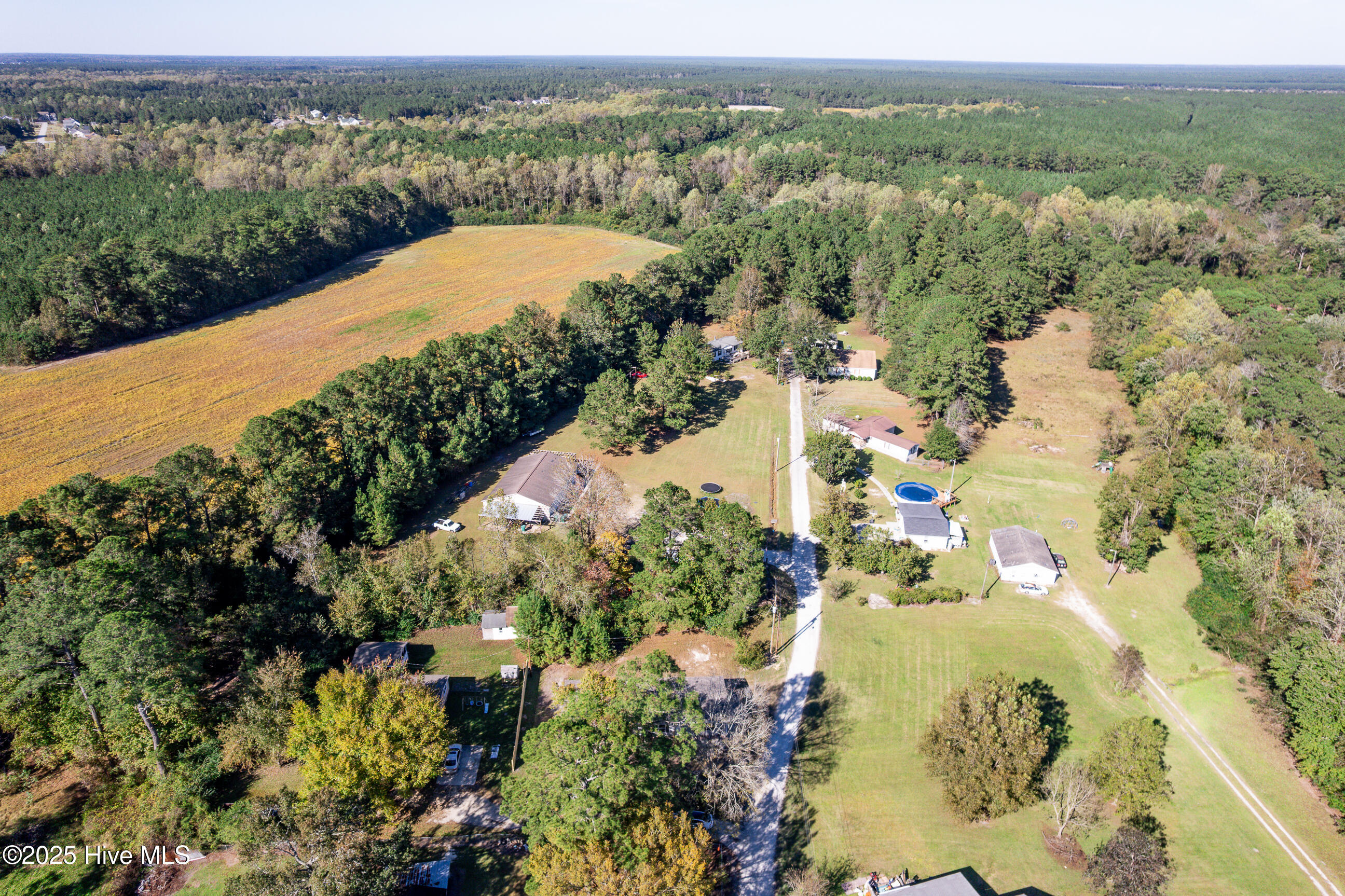 100537518 | Photo 33