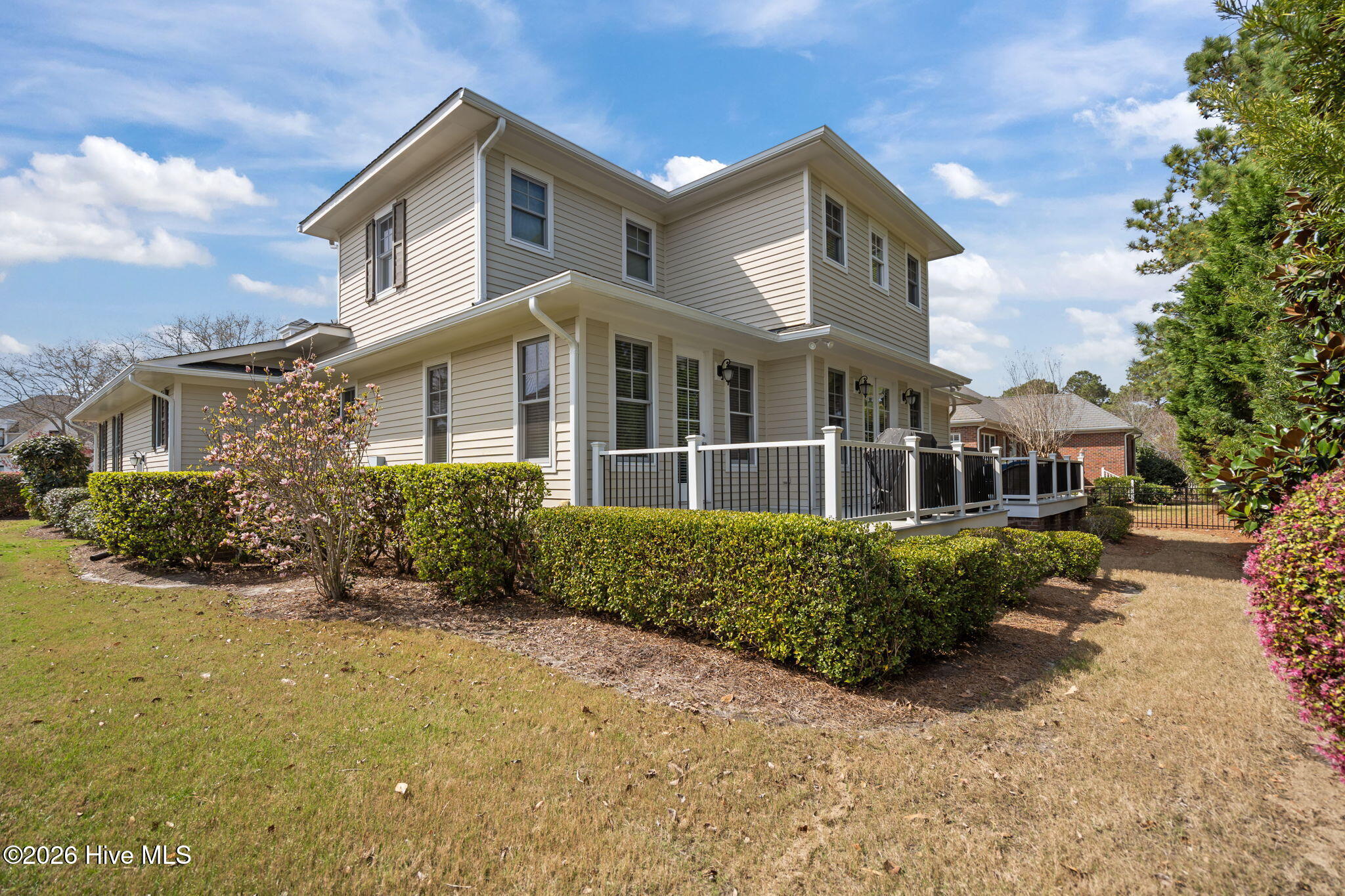 100561937 | Photo 13