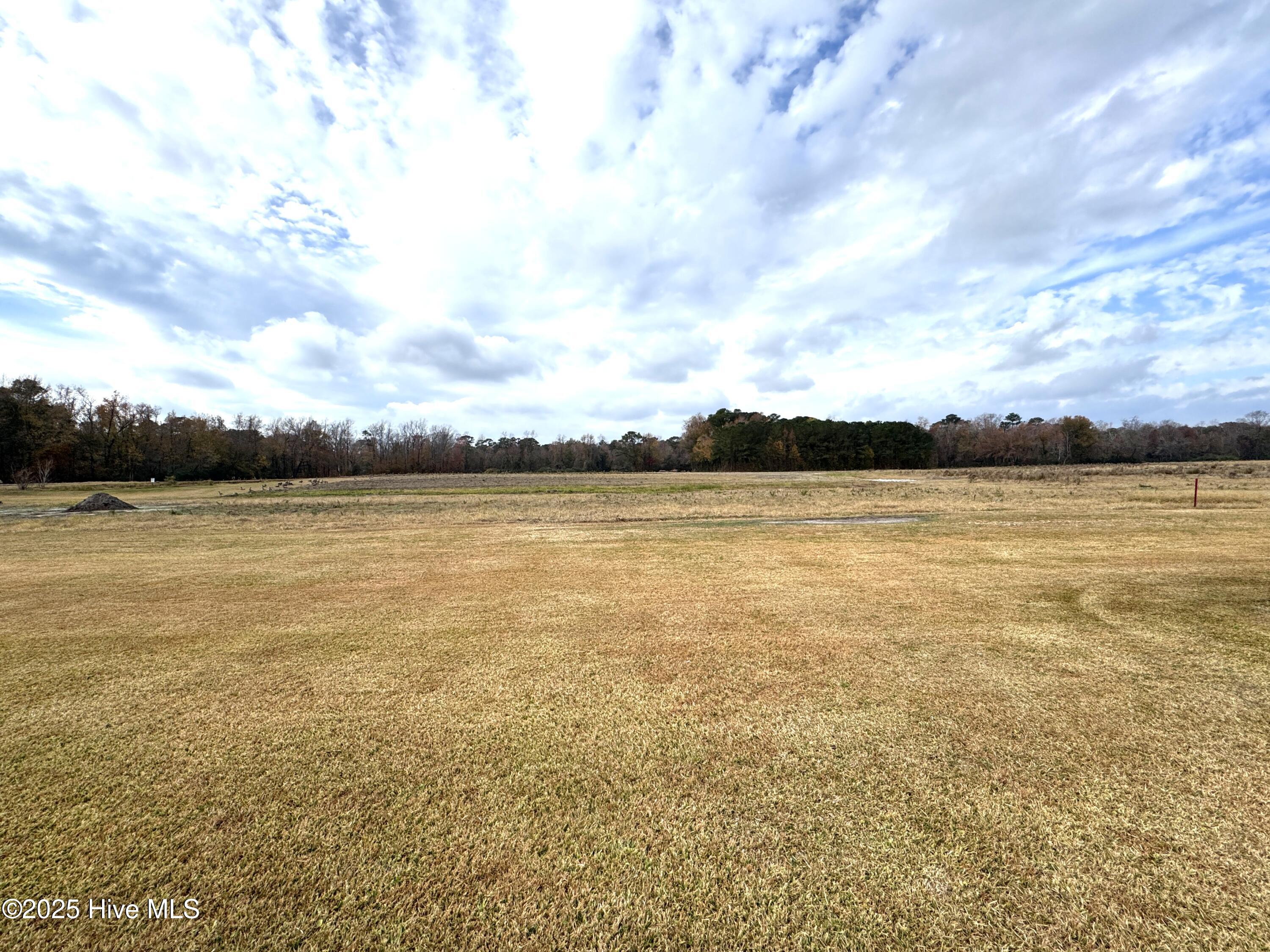 100543974 | Photo 15