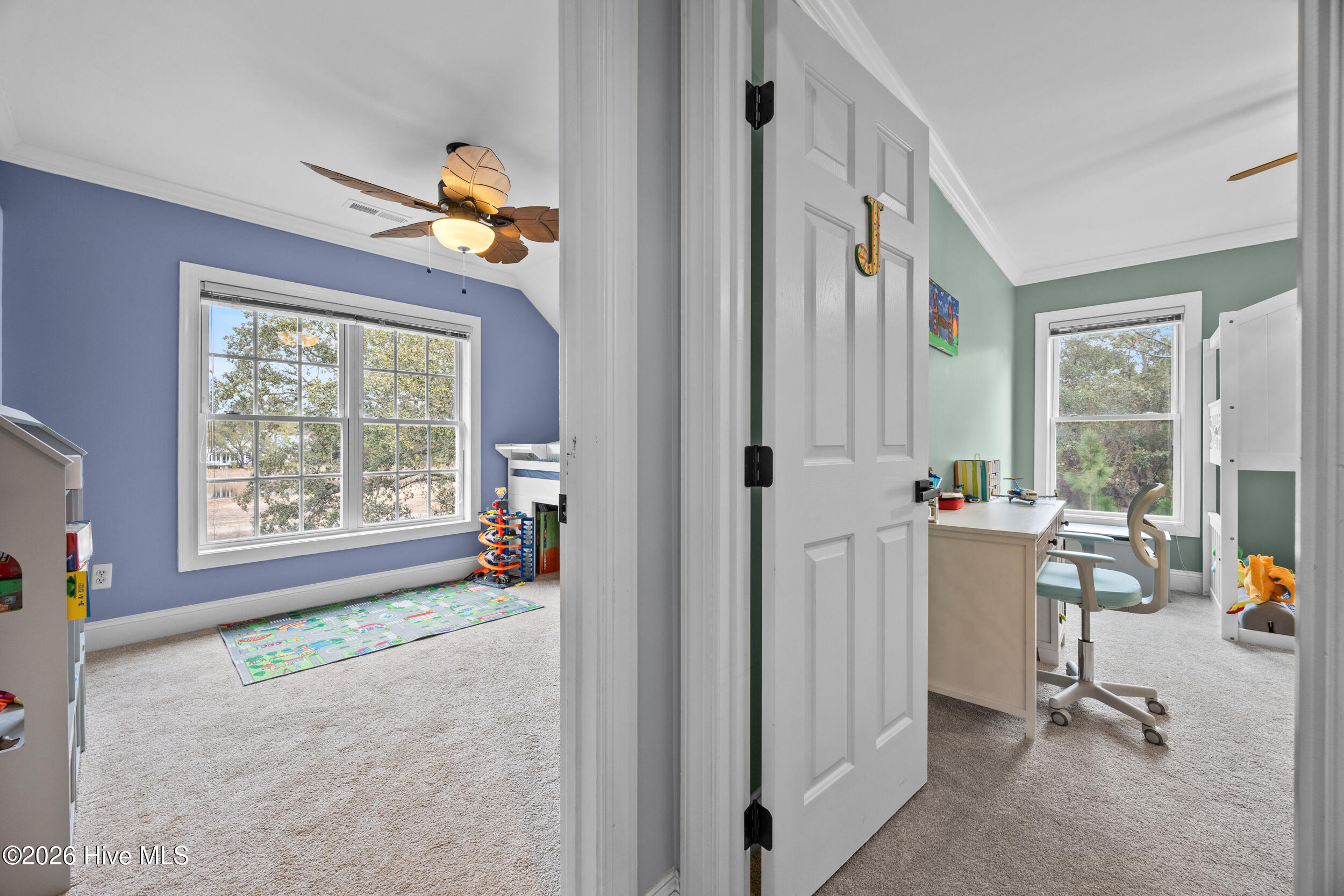 100555856 | Photo 28