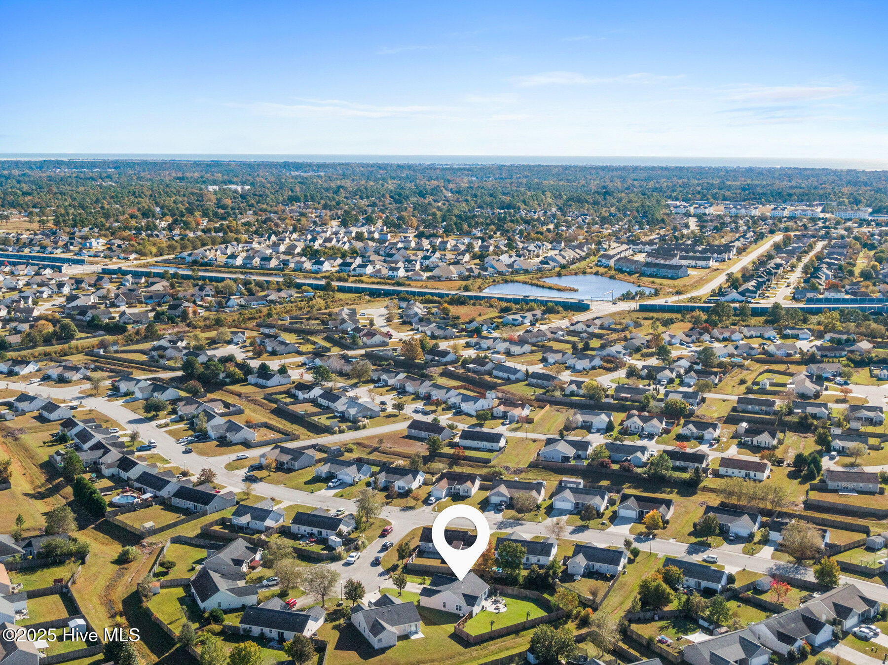 100539612 | Photo 45