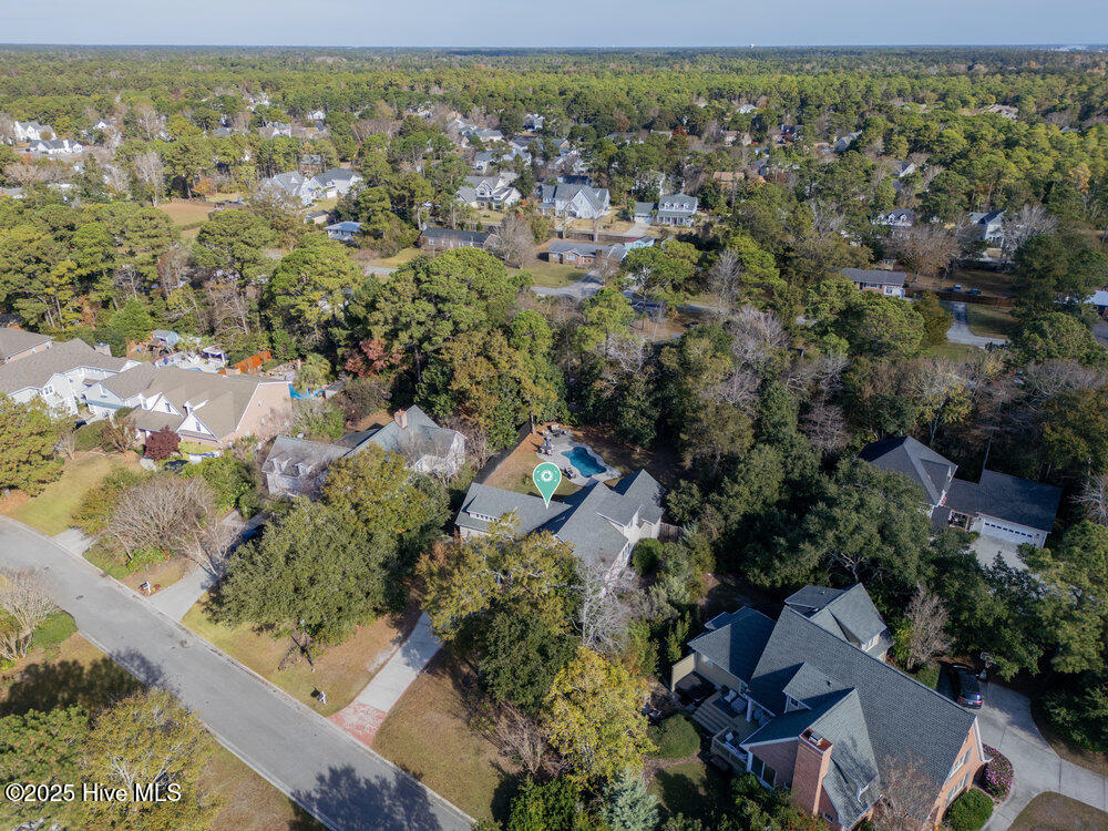 100543426 | Photo 34