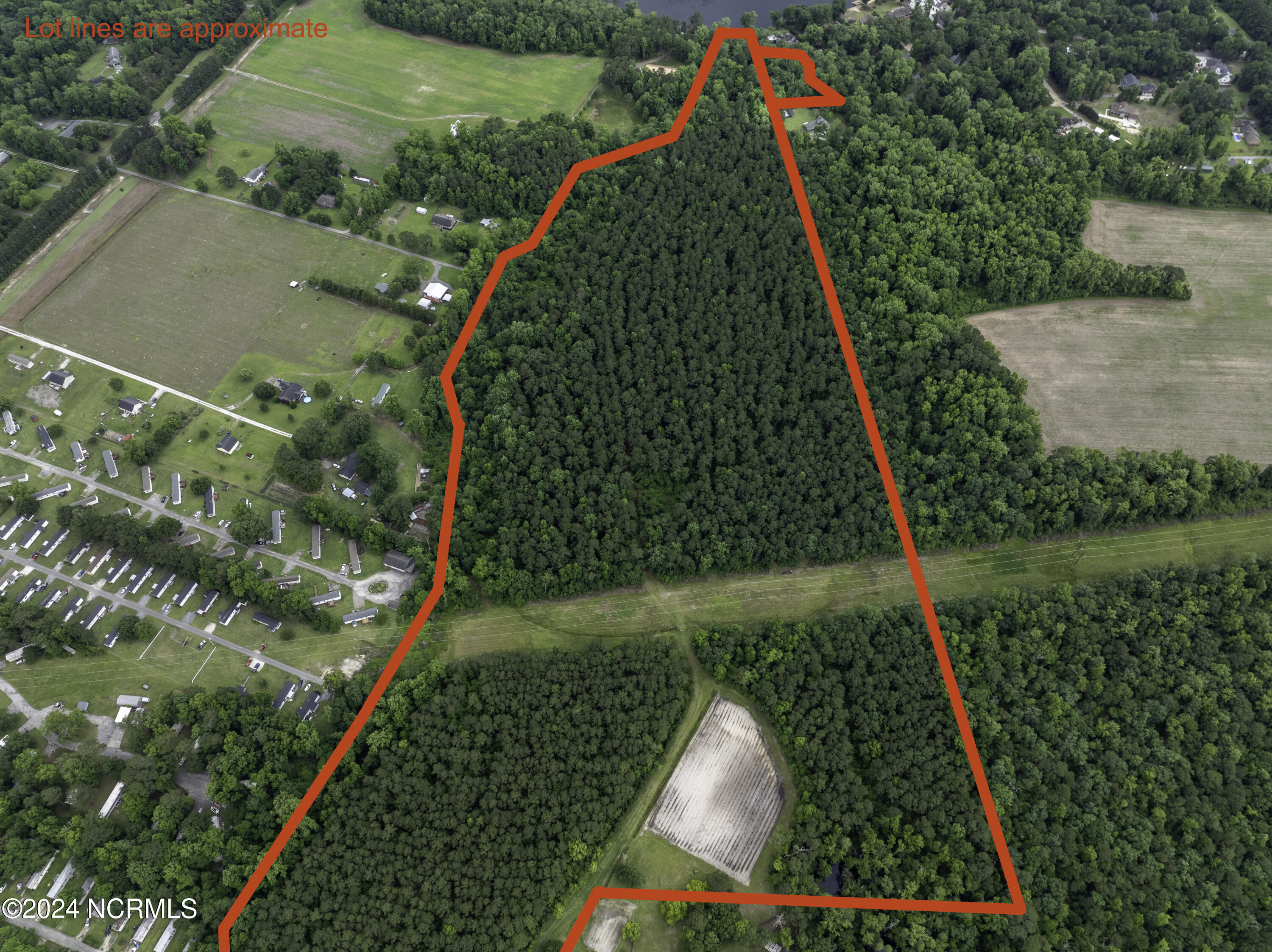 100524408 | Photo 33