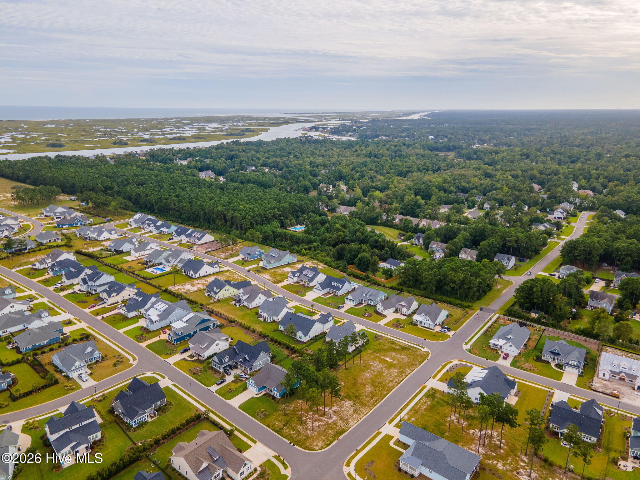 100558696 | Photo 10