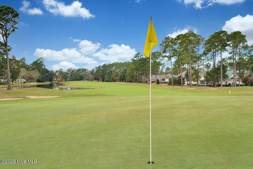 100567236 | Photo 27