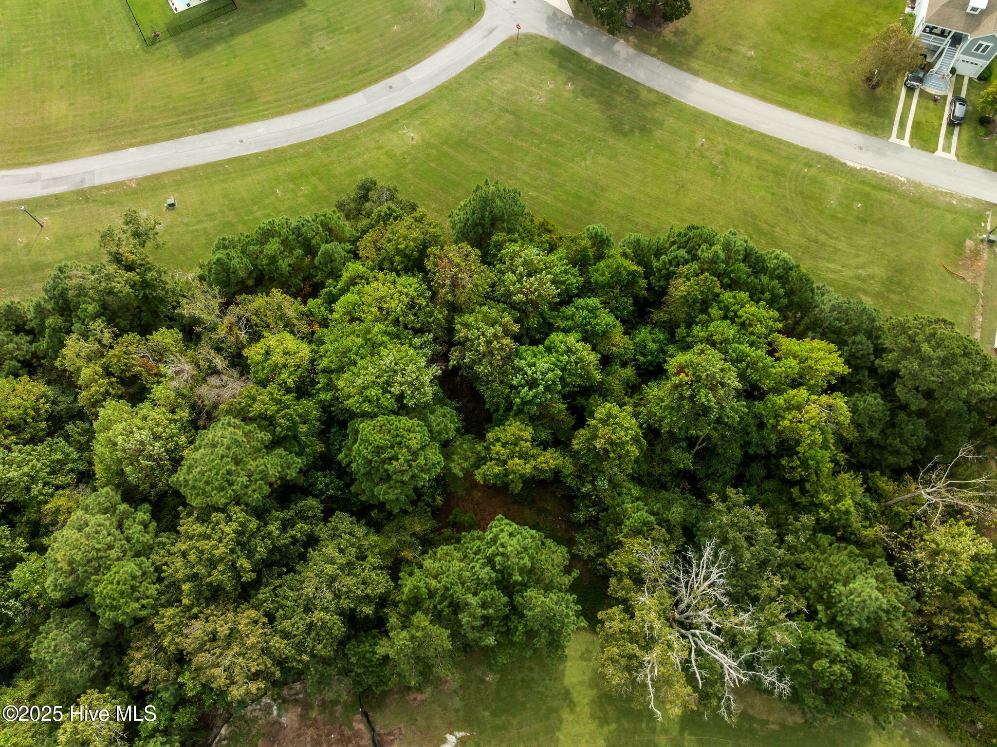 100564274 | Photo 15