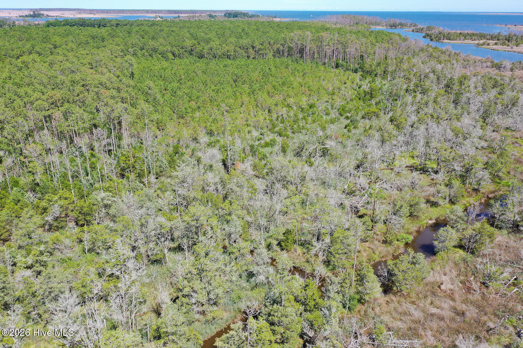 4.57 Acres Meekins Road,Bayboro