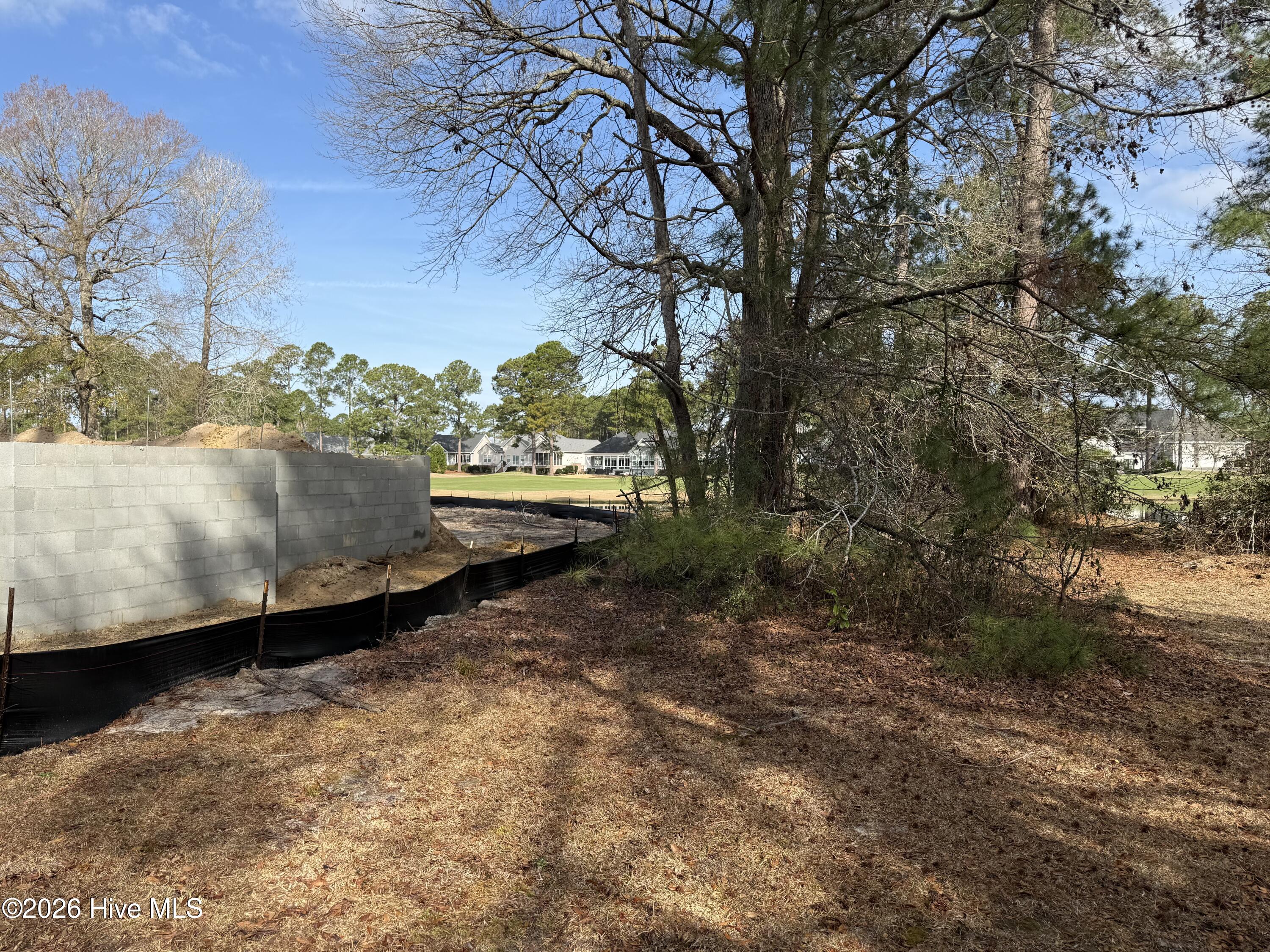 100558315 | Photo 11