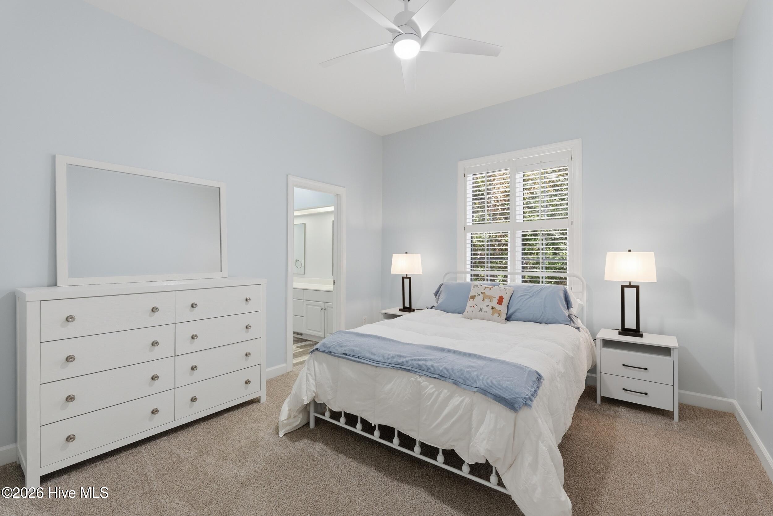 100559694 | Photo 32