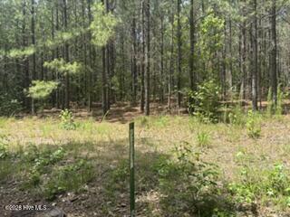 Exterior photo of Tbd Boling Way, Carthage, NC 28327. MLS: 100587833
