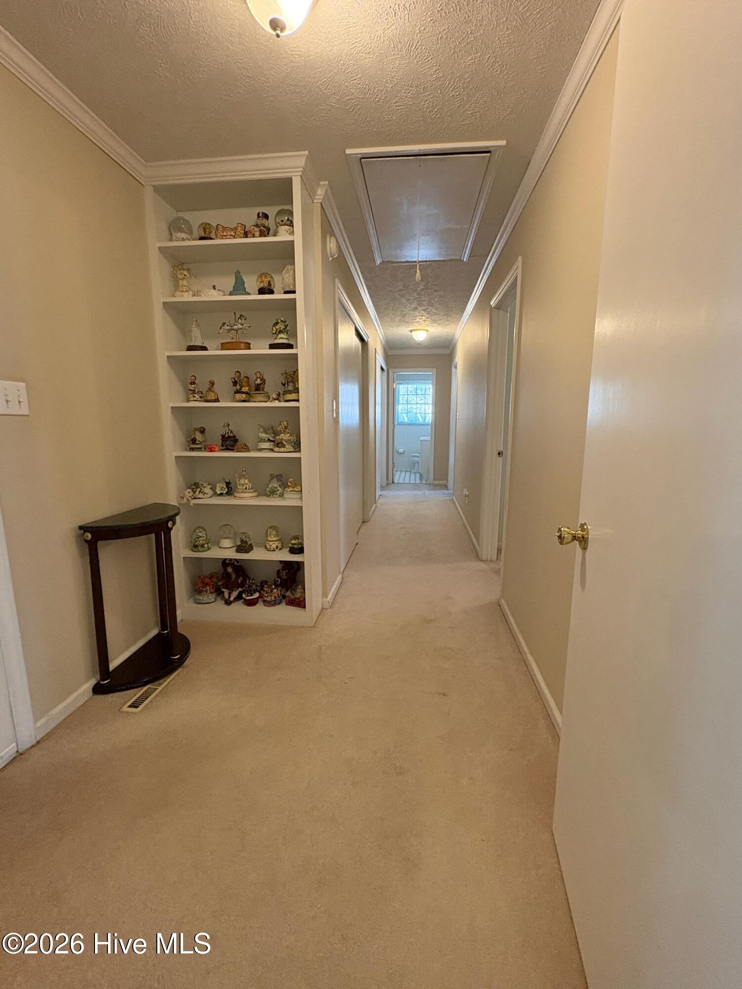 100562986 | Photo 27