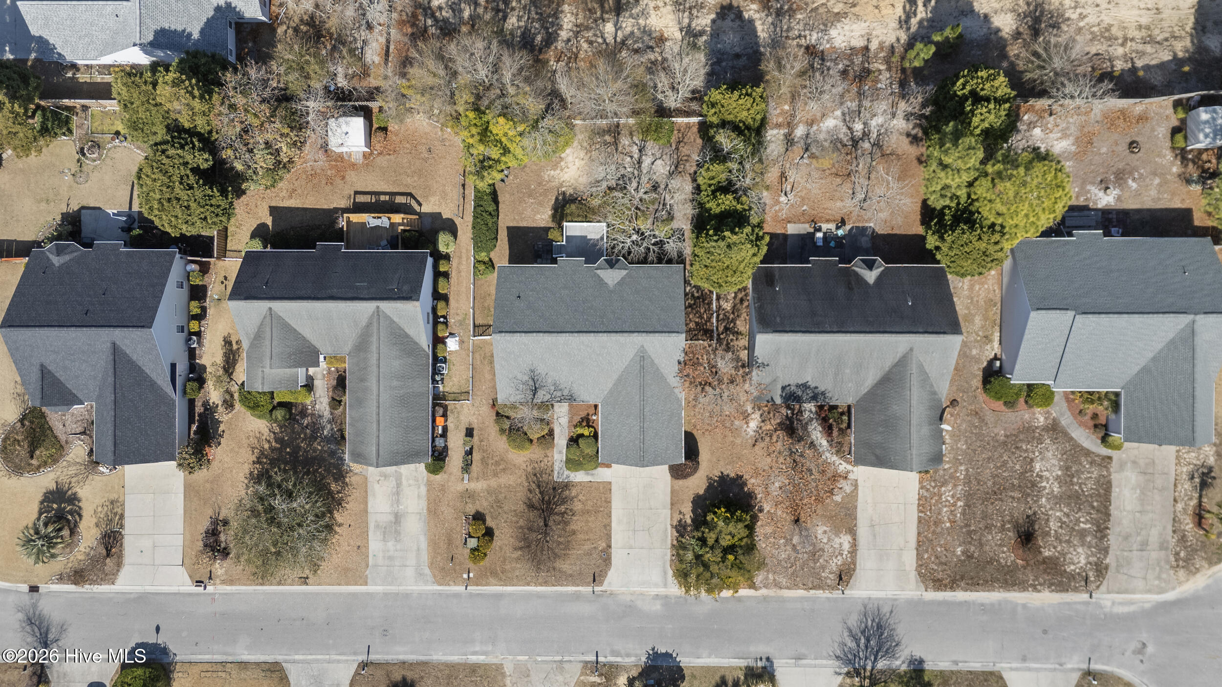 100555445 | Photo 45