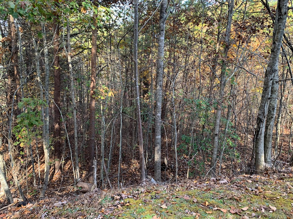 Exterior photo of 25&26 Mountain Knoll Lane, Warne, NC 28909. MLS: 98543661