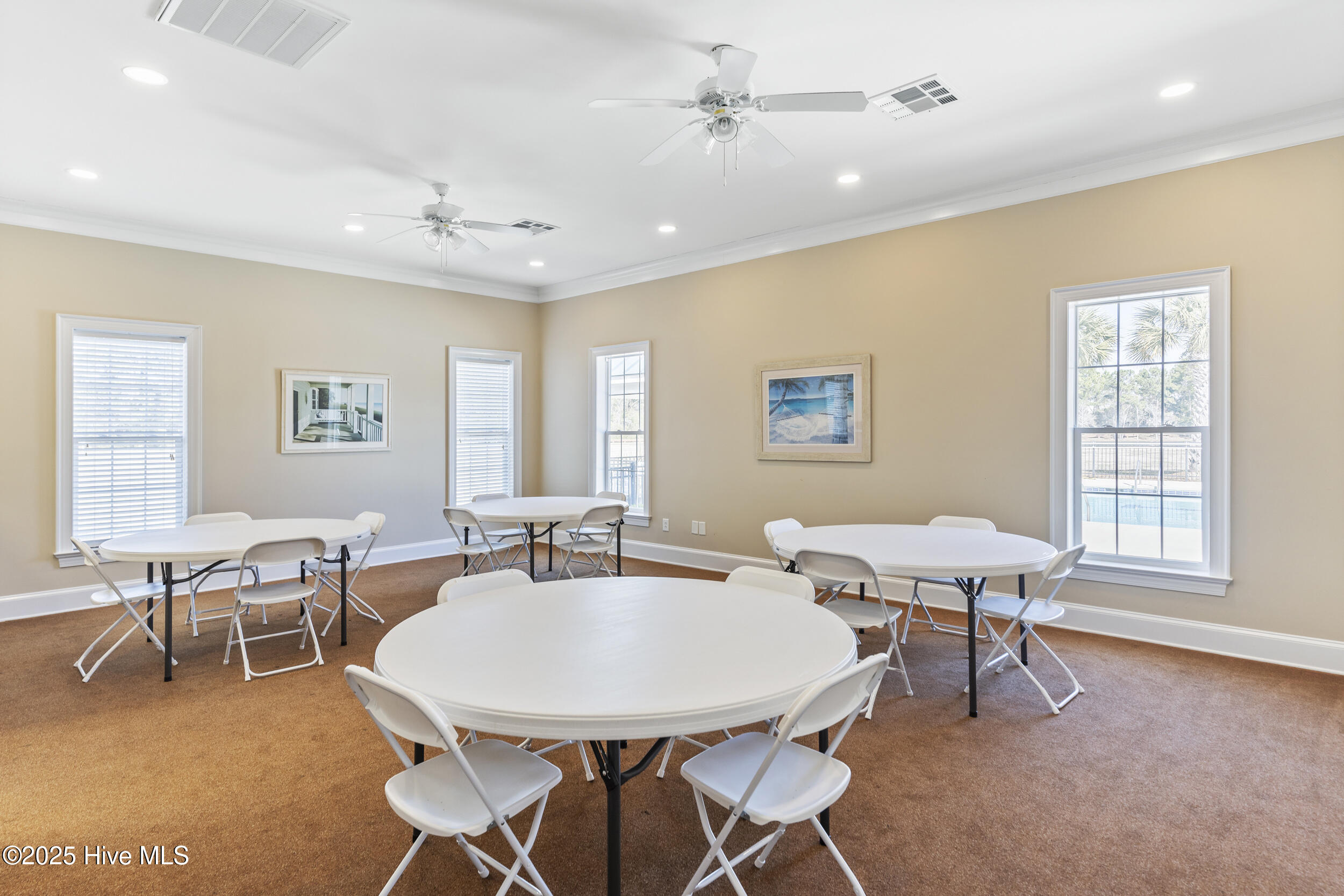 100519545 | Photo 39