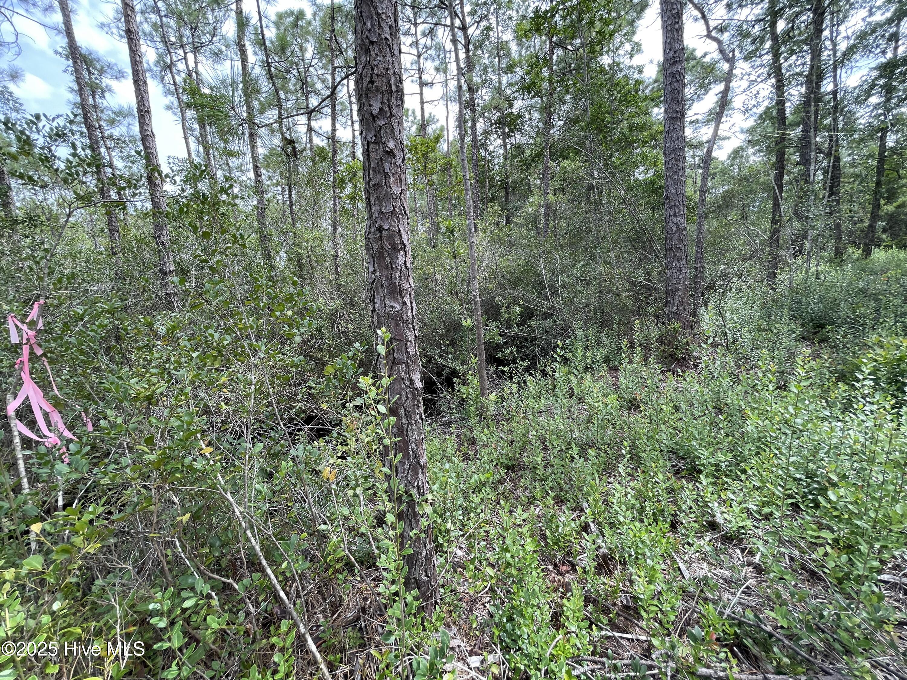 100527891 | Photo 15