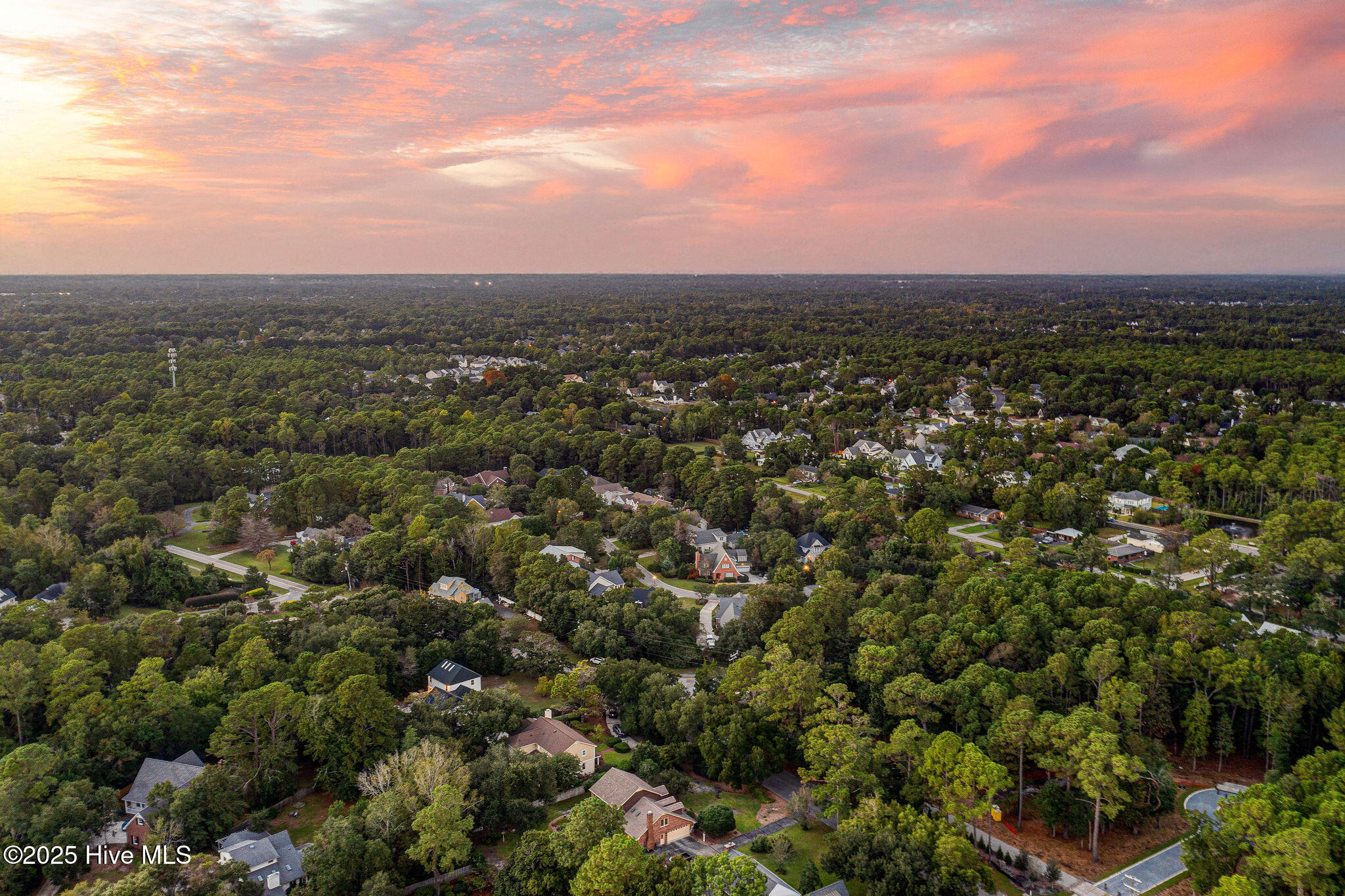 100534059 | Photo 66