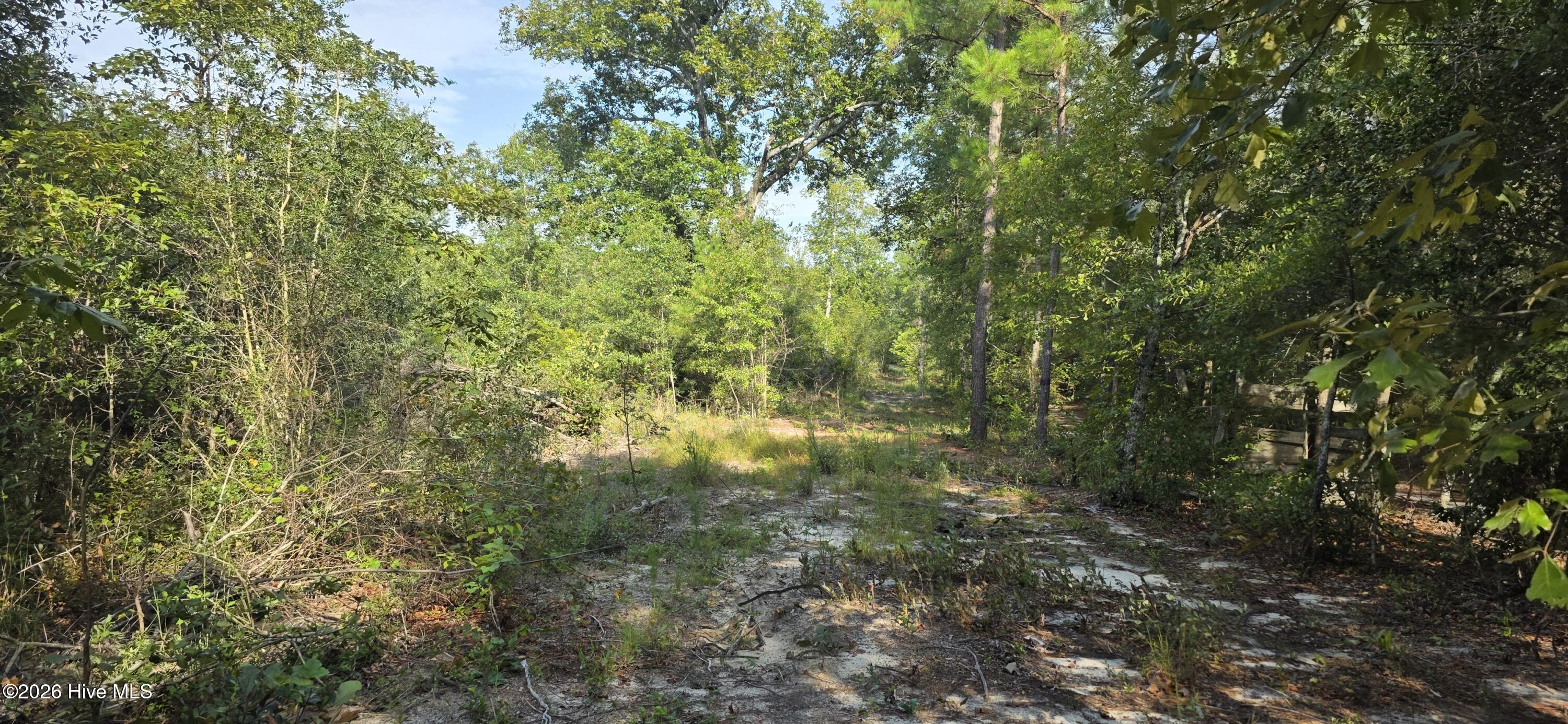 Photo 1 of Land for sale at 131 Spirit Ln, Aiken, SC 29801 | MLS# 100604810 | Listing updated on 2026-09-19