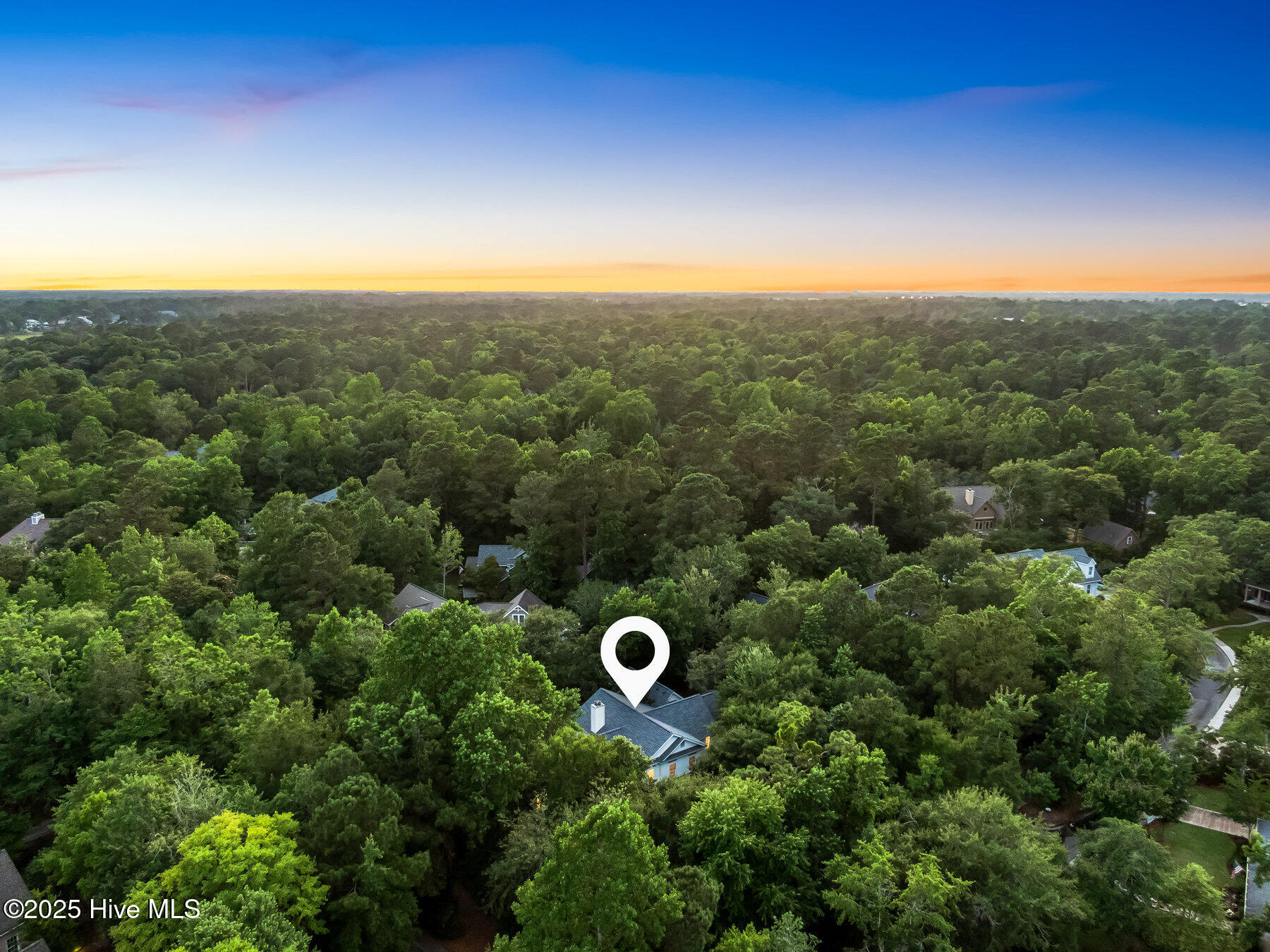 100495433 | Photo 45