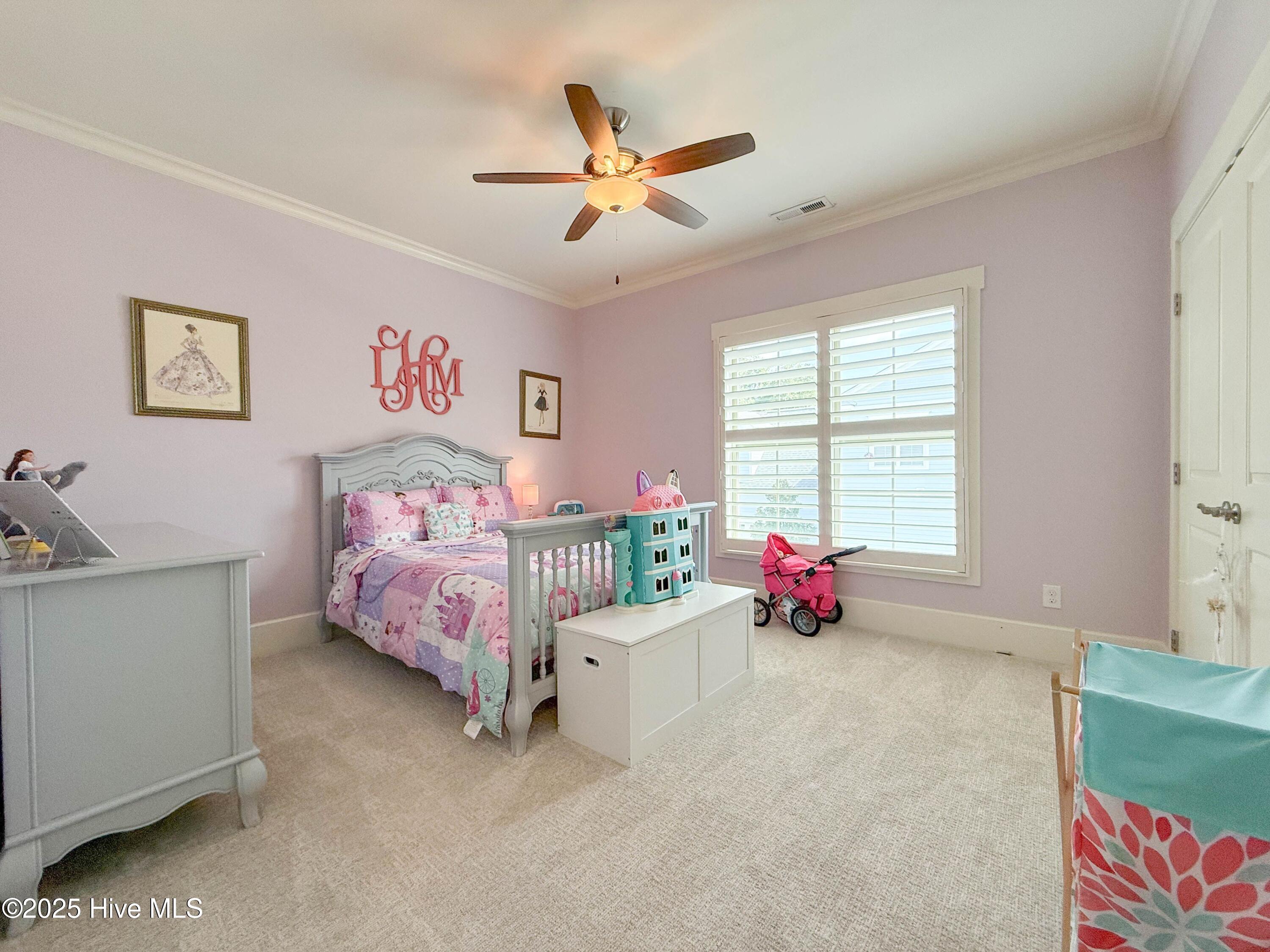 100534073 | Photo 51