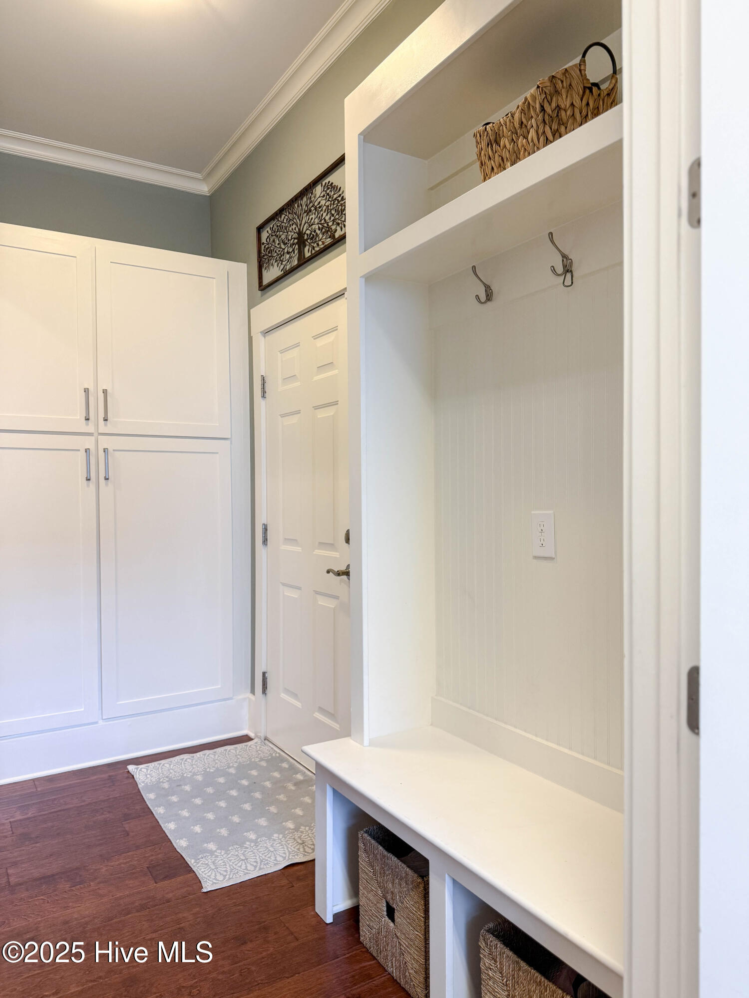 100534073 | Photo 61