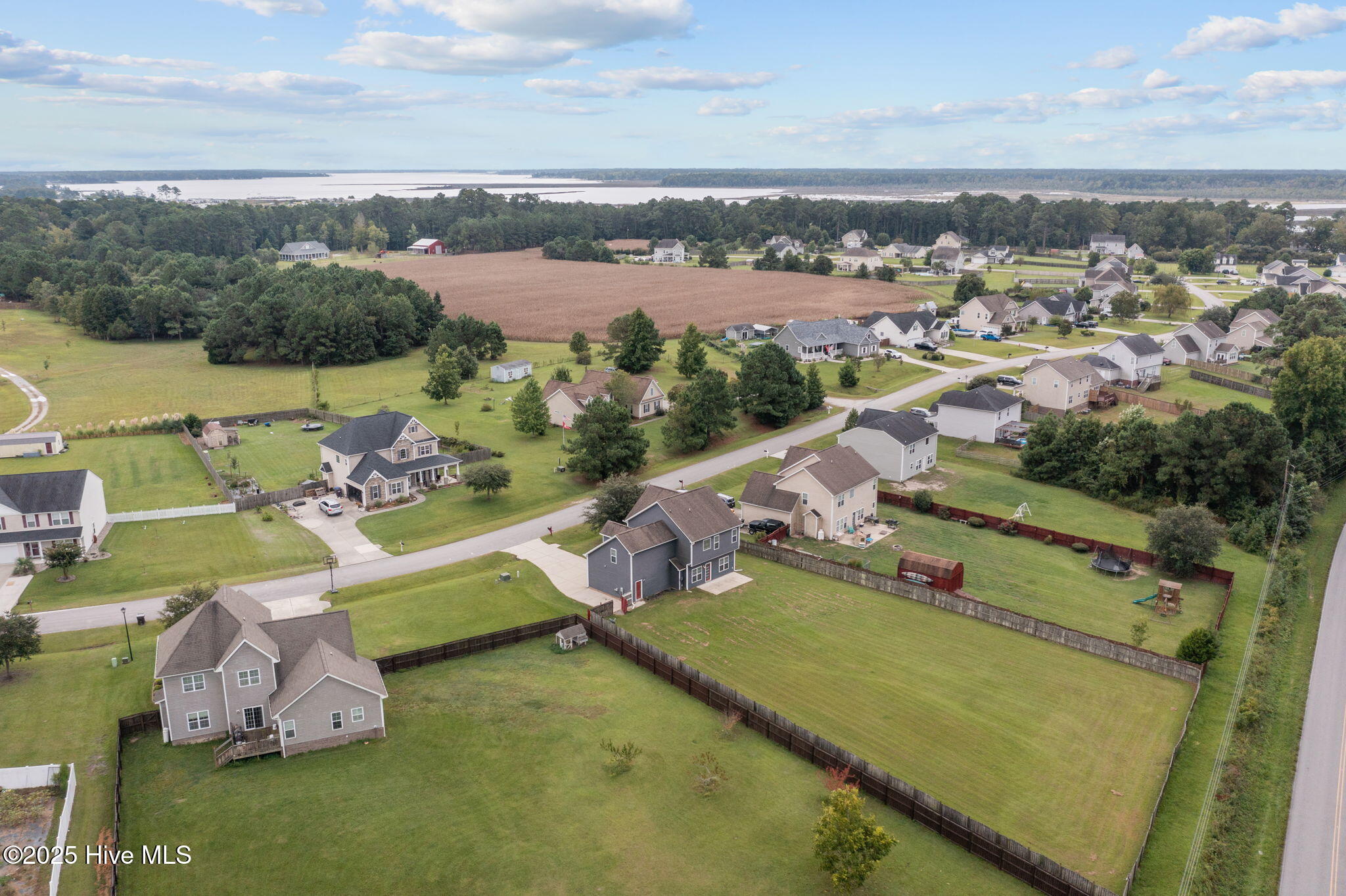 100529601 | Photo 43