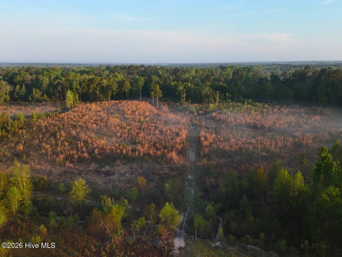 0 Durwood Evans Road, Beulaville, NC, 28518