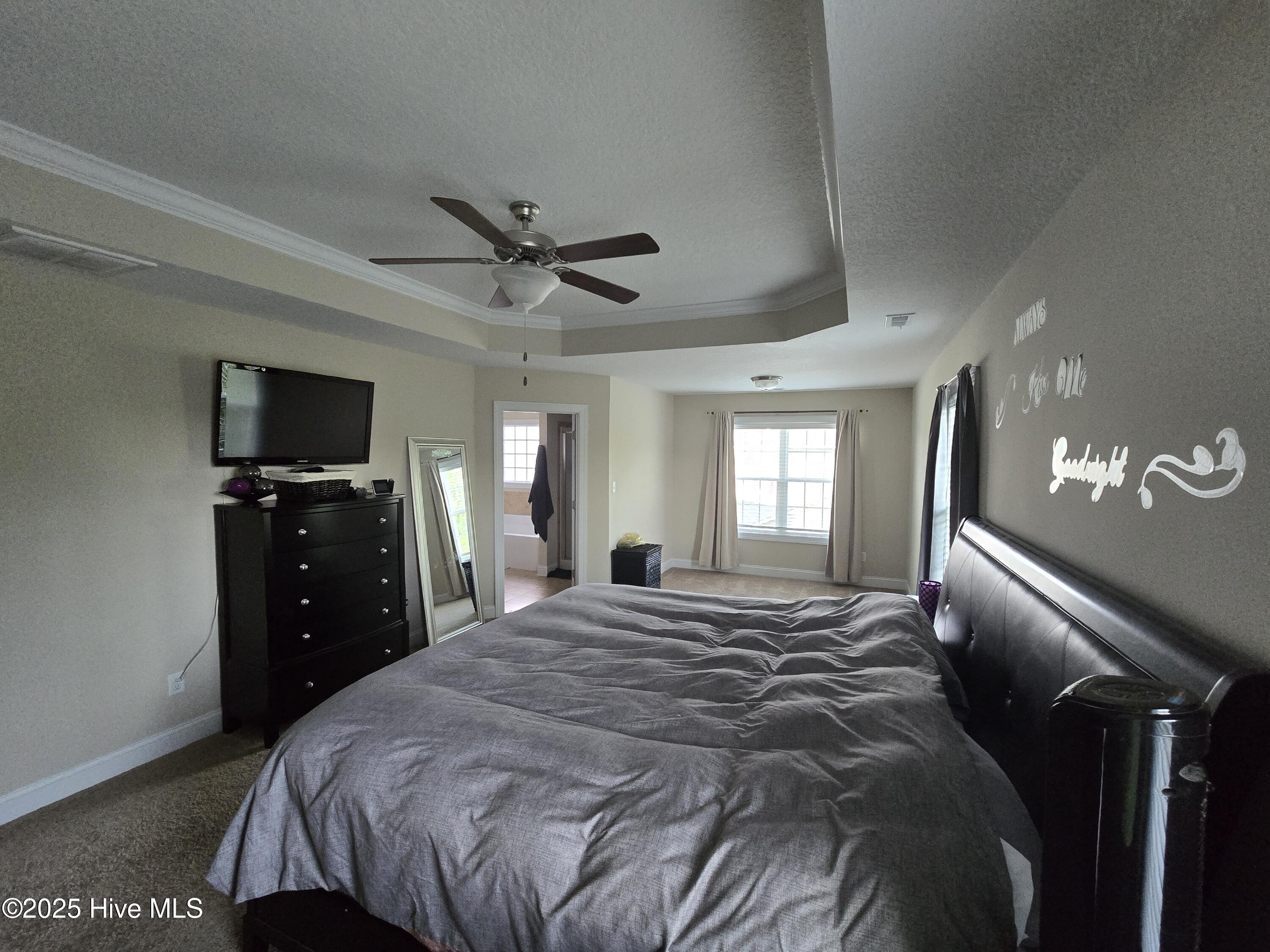 100546217 | Photo 14