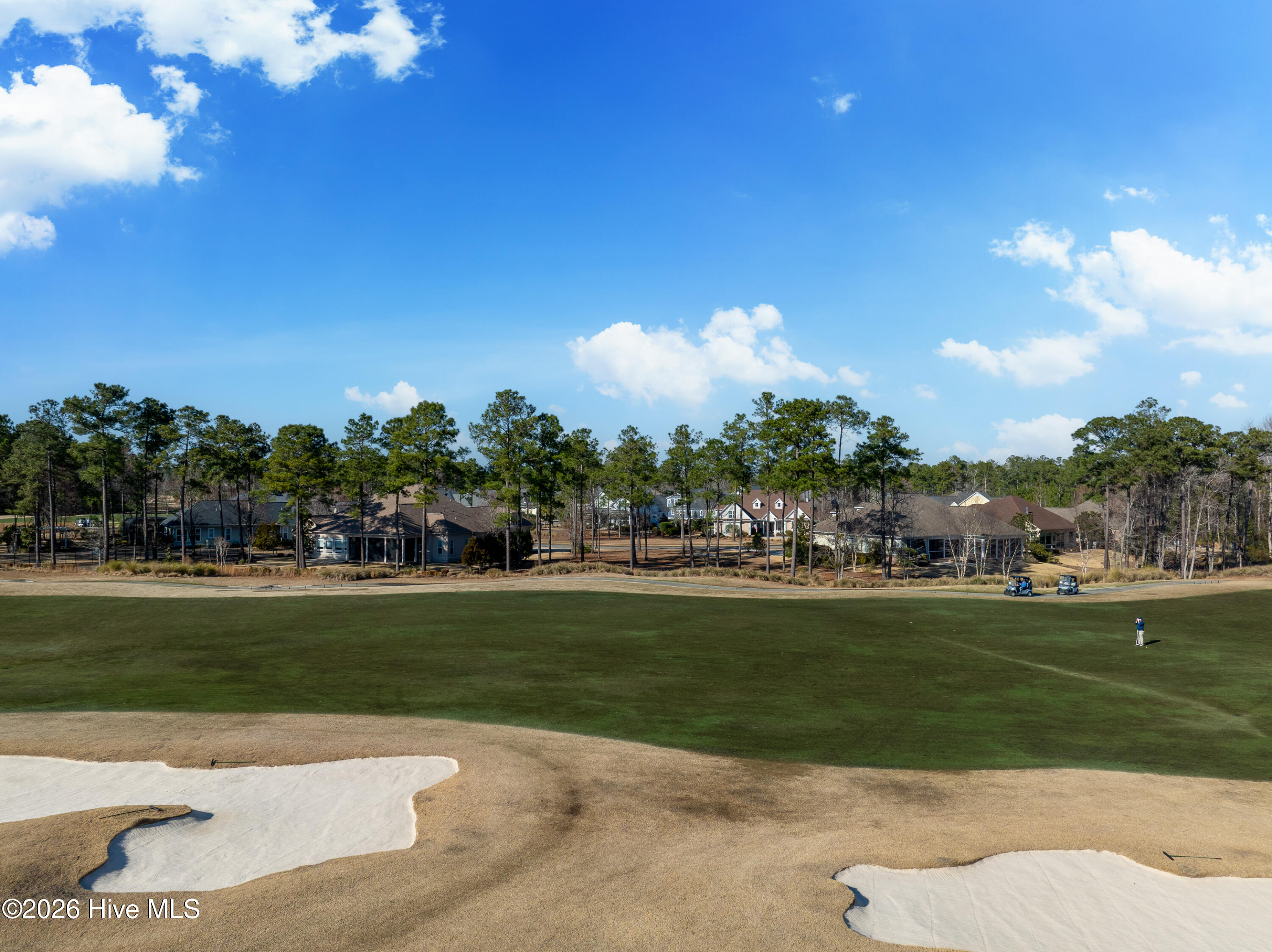 100557146 | Photo 24