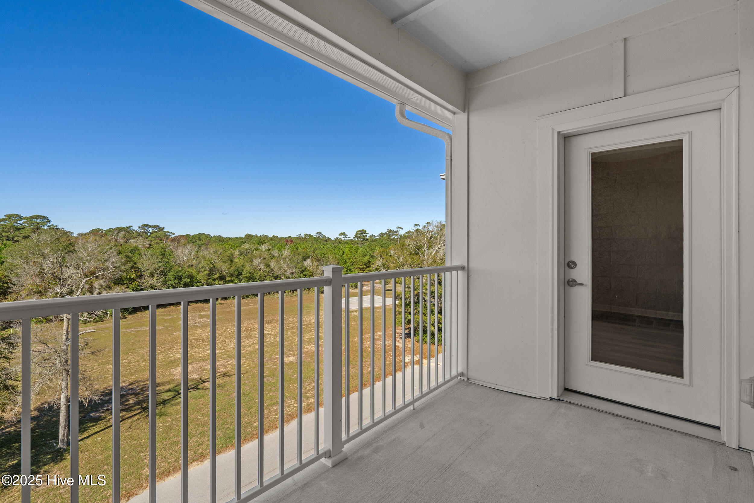 100539036 | Photo 30