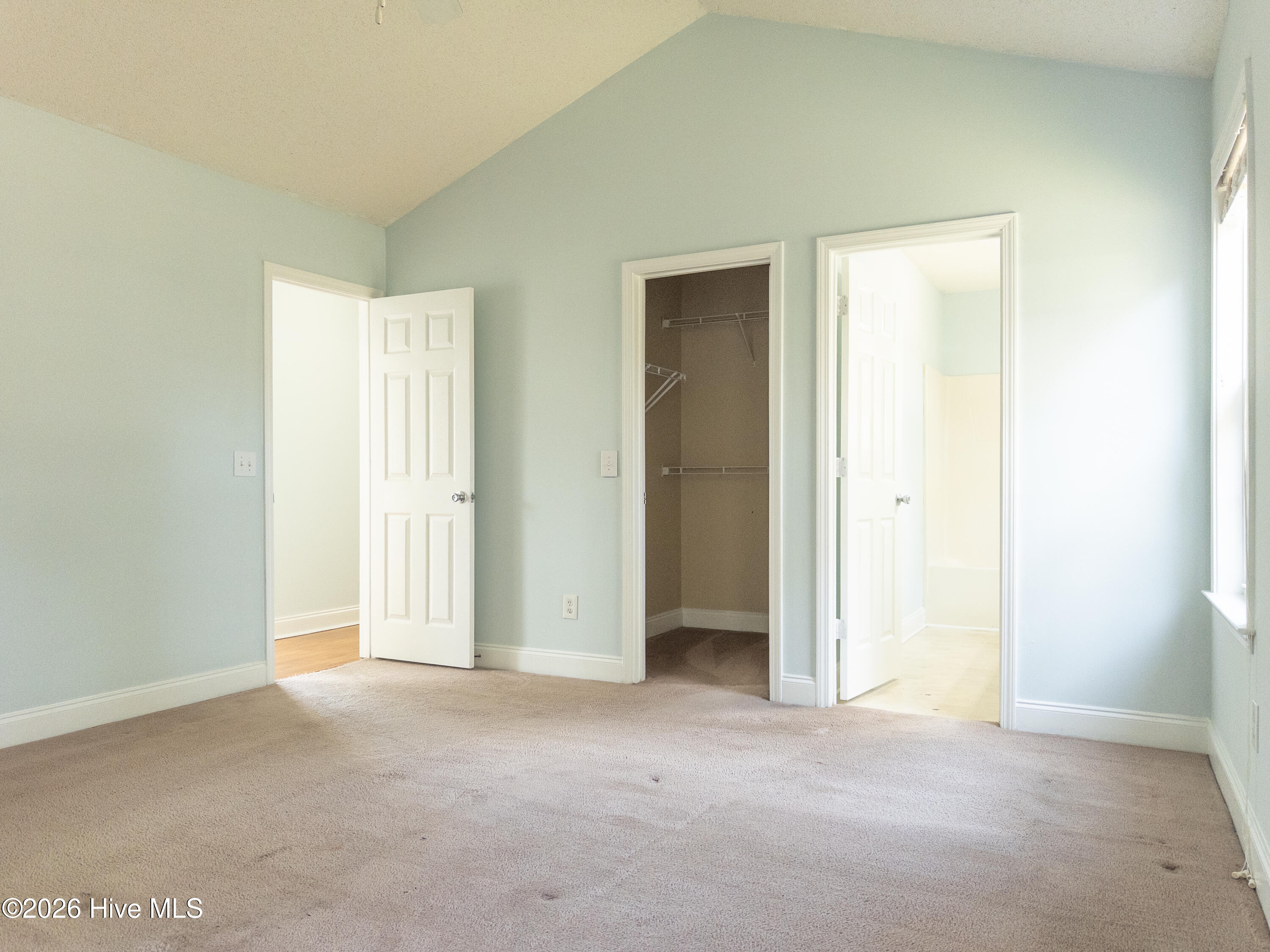 100558413 | Photo 26