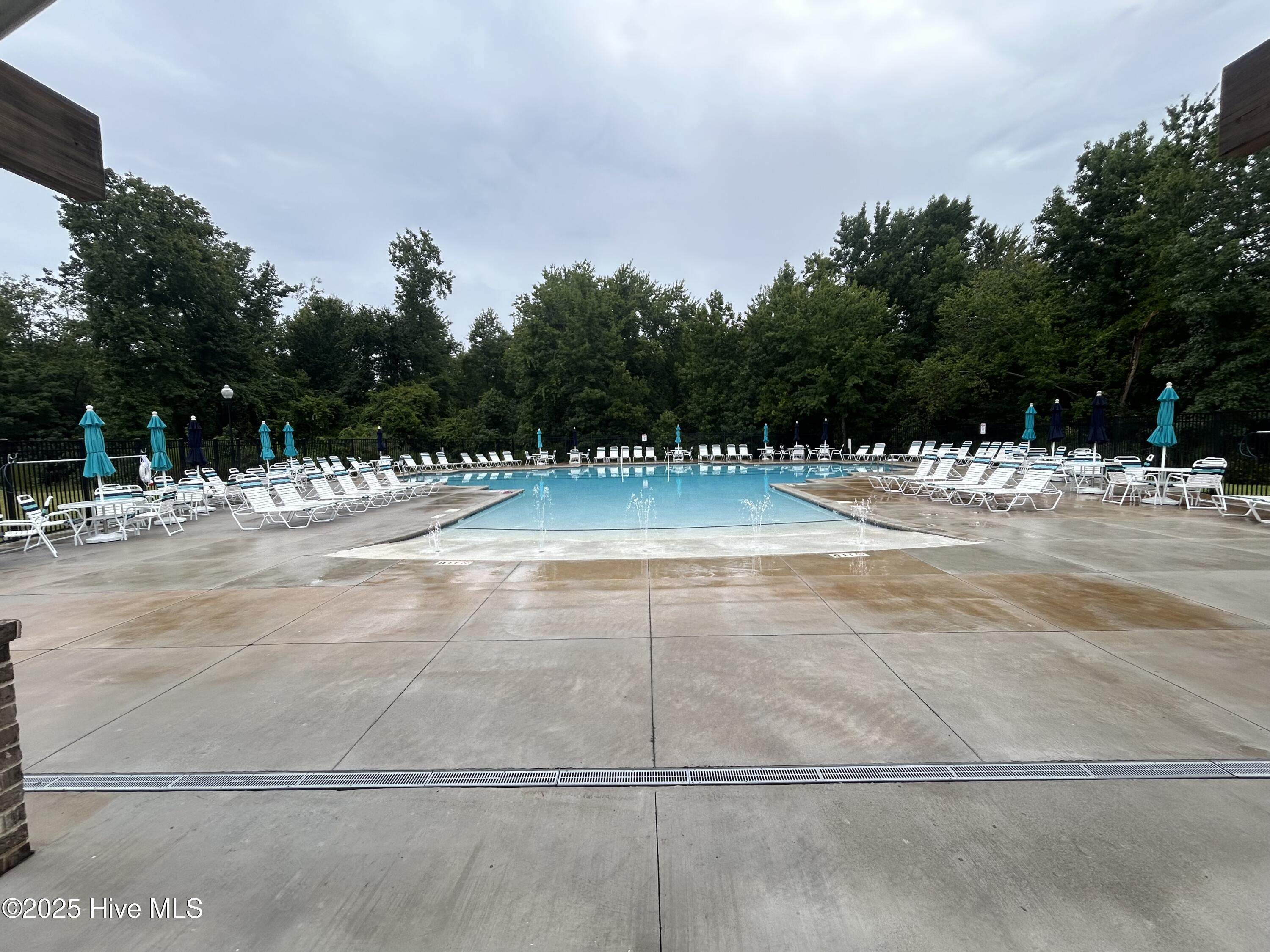 100561165 | Photo 37