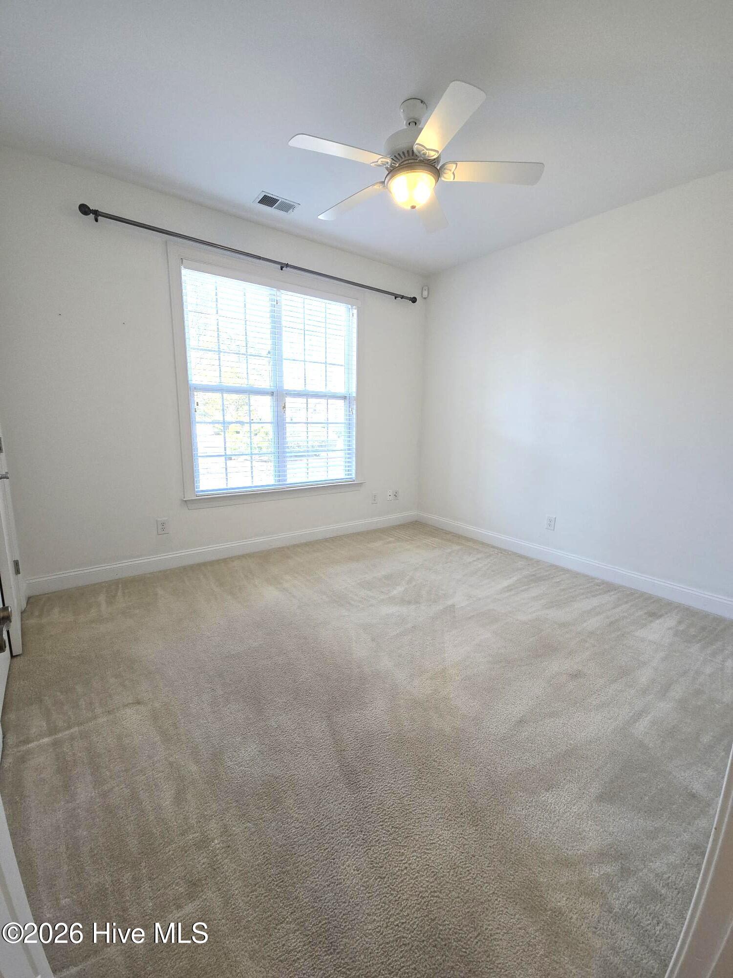 100526978 | Photo 10