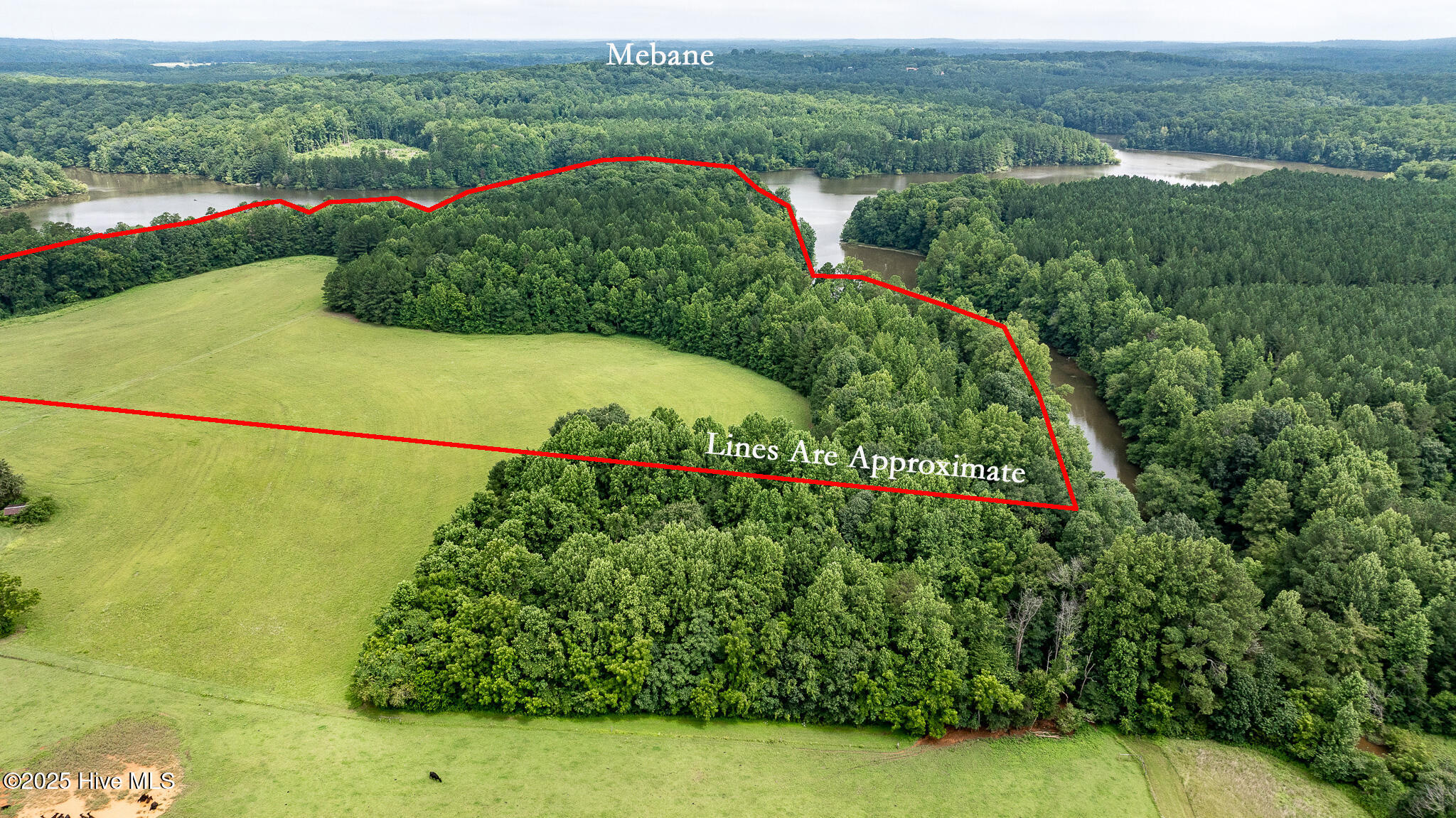 4833-Overall-5-wLines