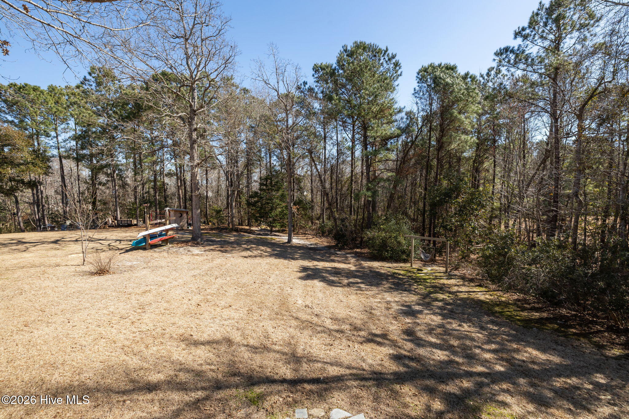 100558206 | Photo 41