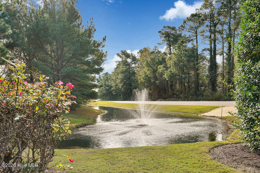 100567236 | Photo 34