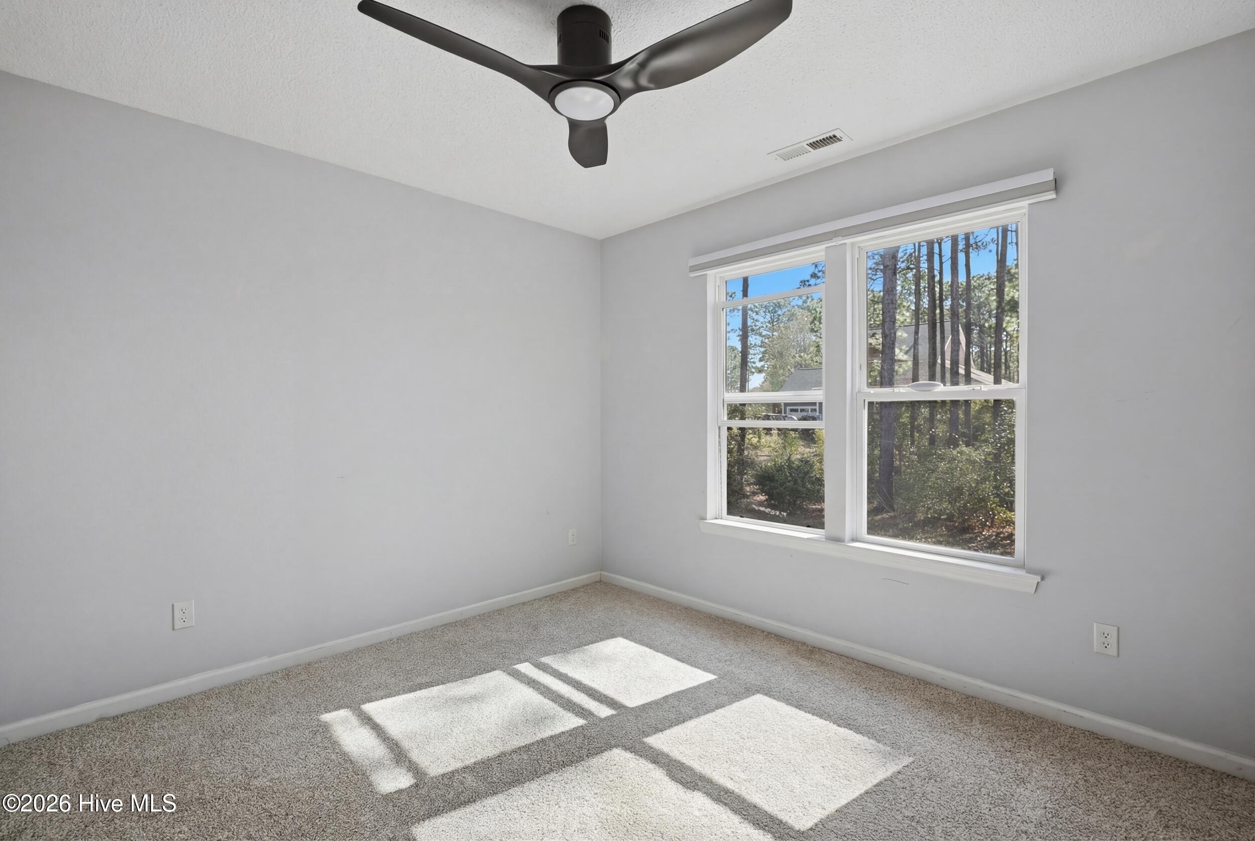 100565699 | Photo 20