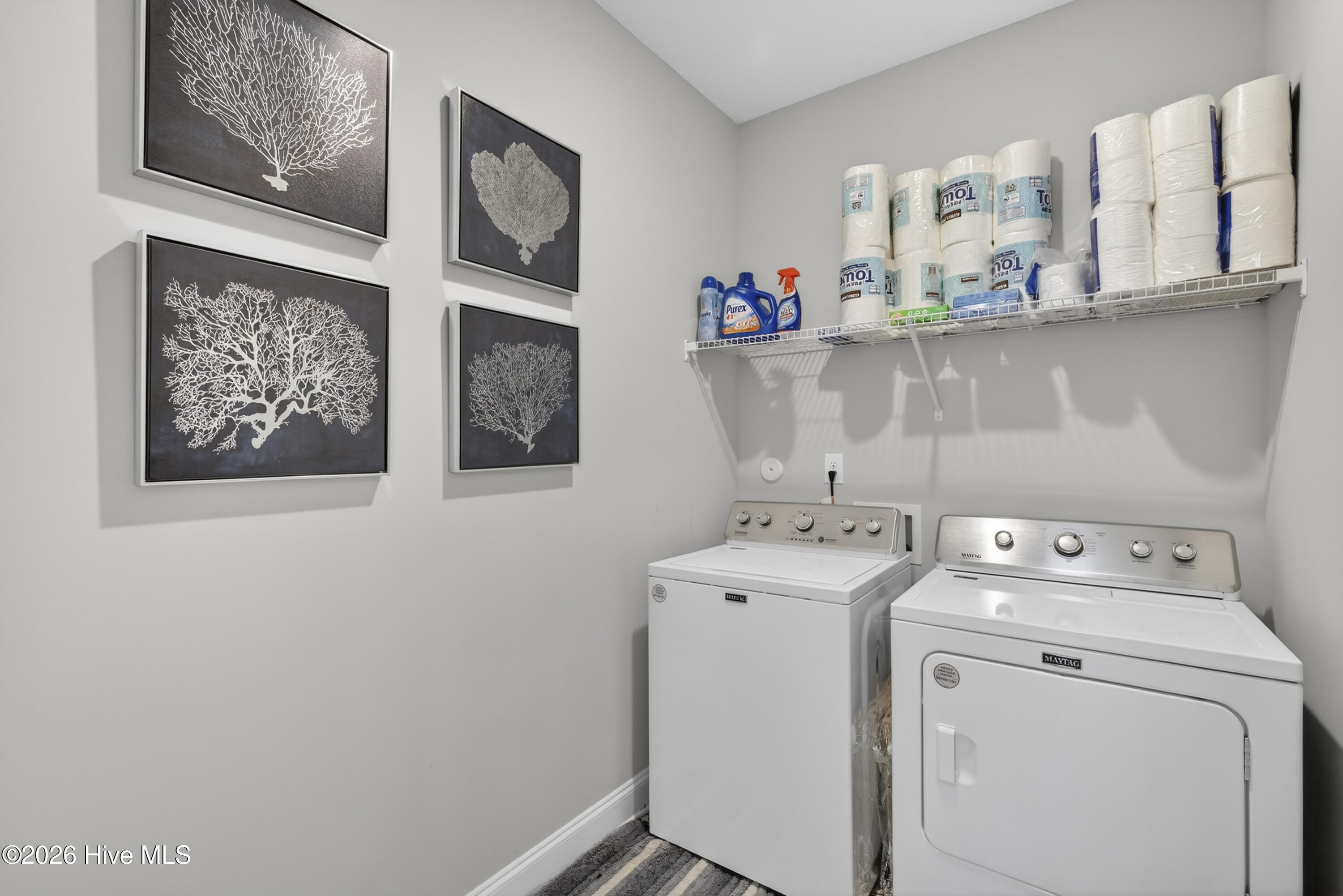 100548256 | Photo 19