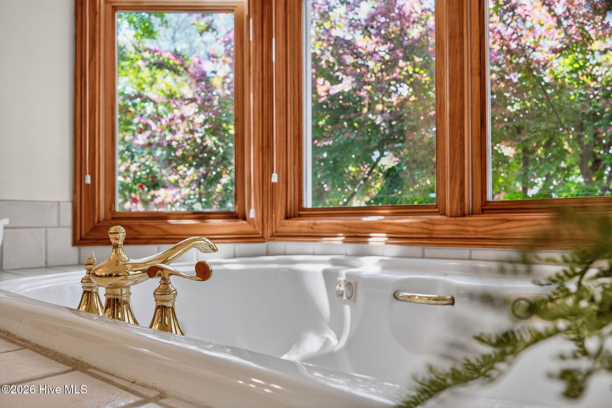 100564885 | Photo 41