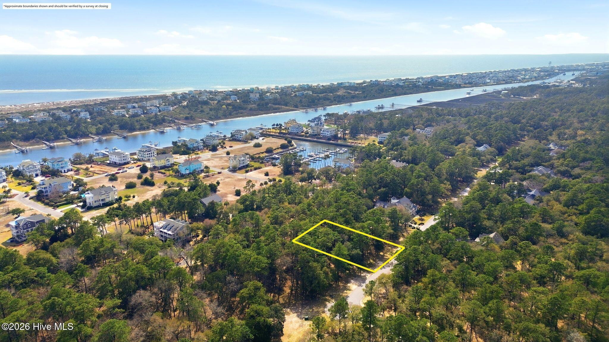 100562202 | Photo 15