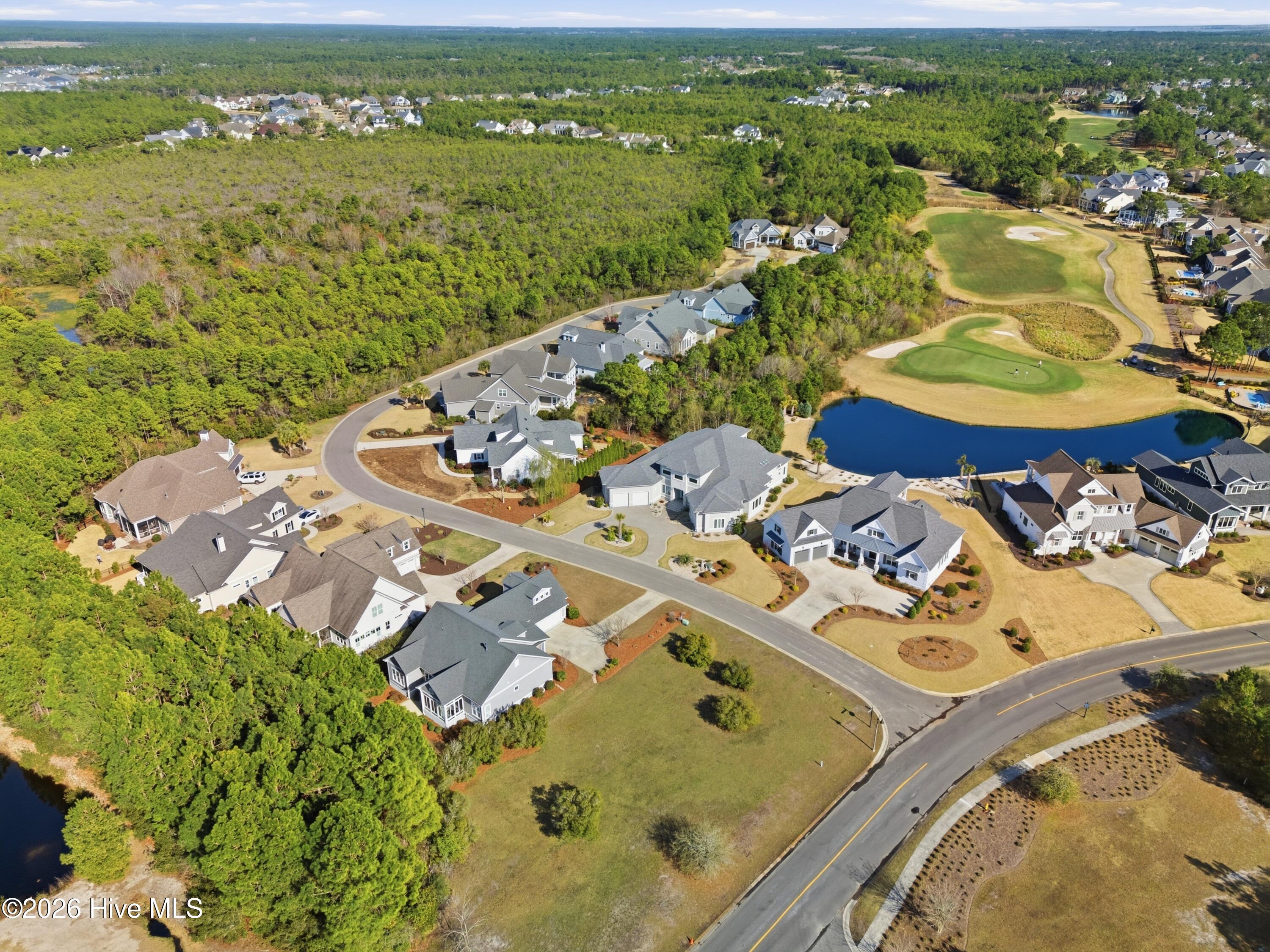 100560697 | Photo 74