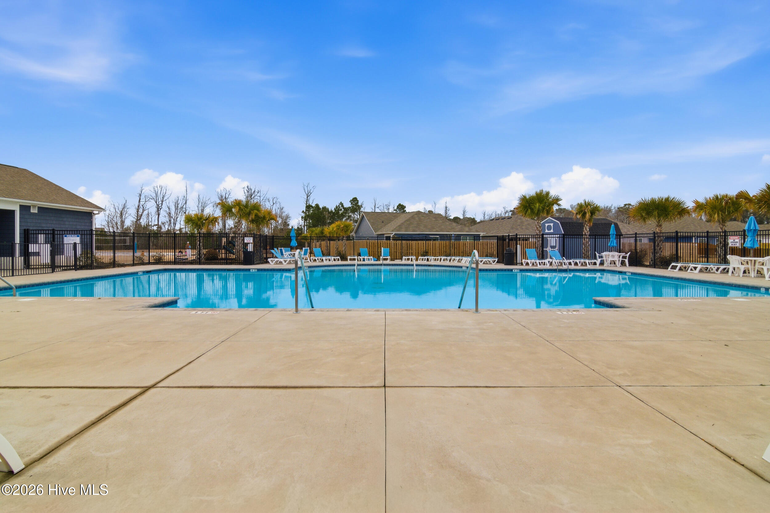 100555979 | Photo 70