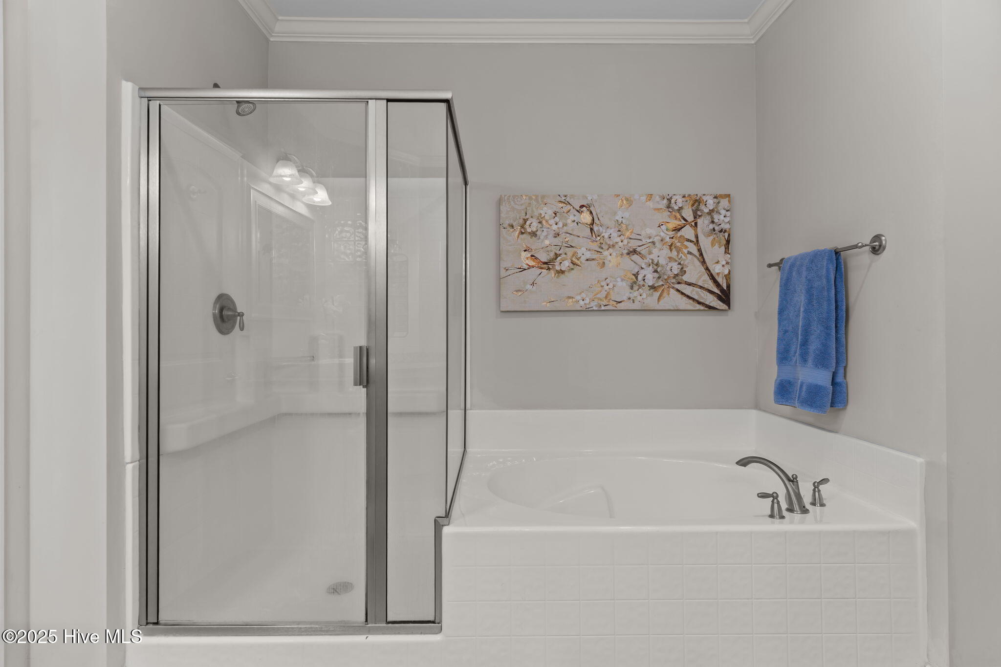 100540381 | Photo 19