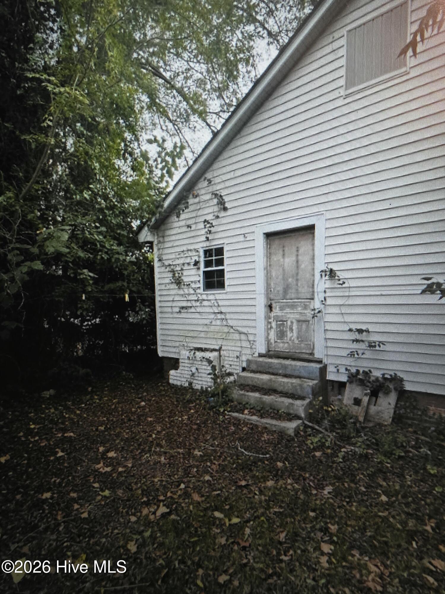 100609351 | Photo 2