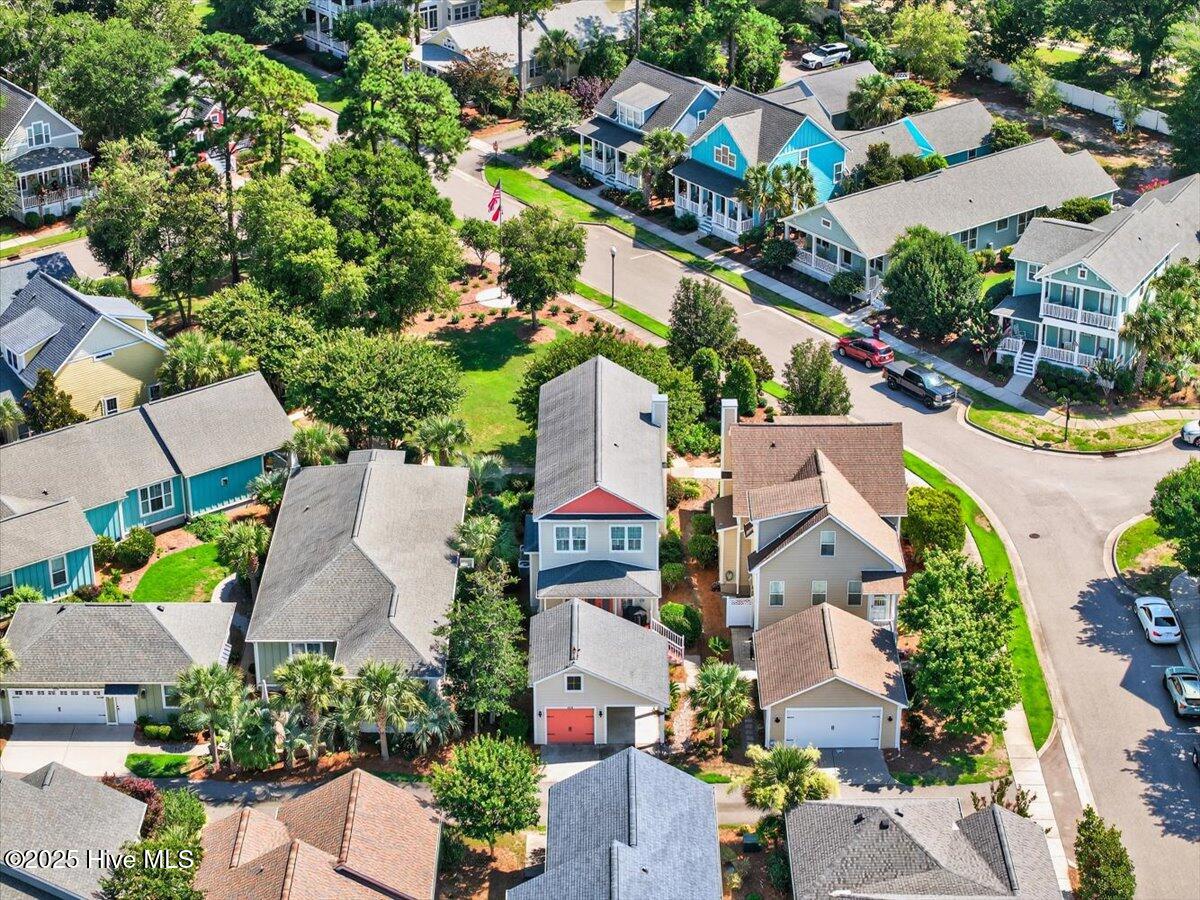 100518883 | Photo 59